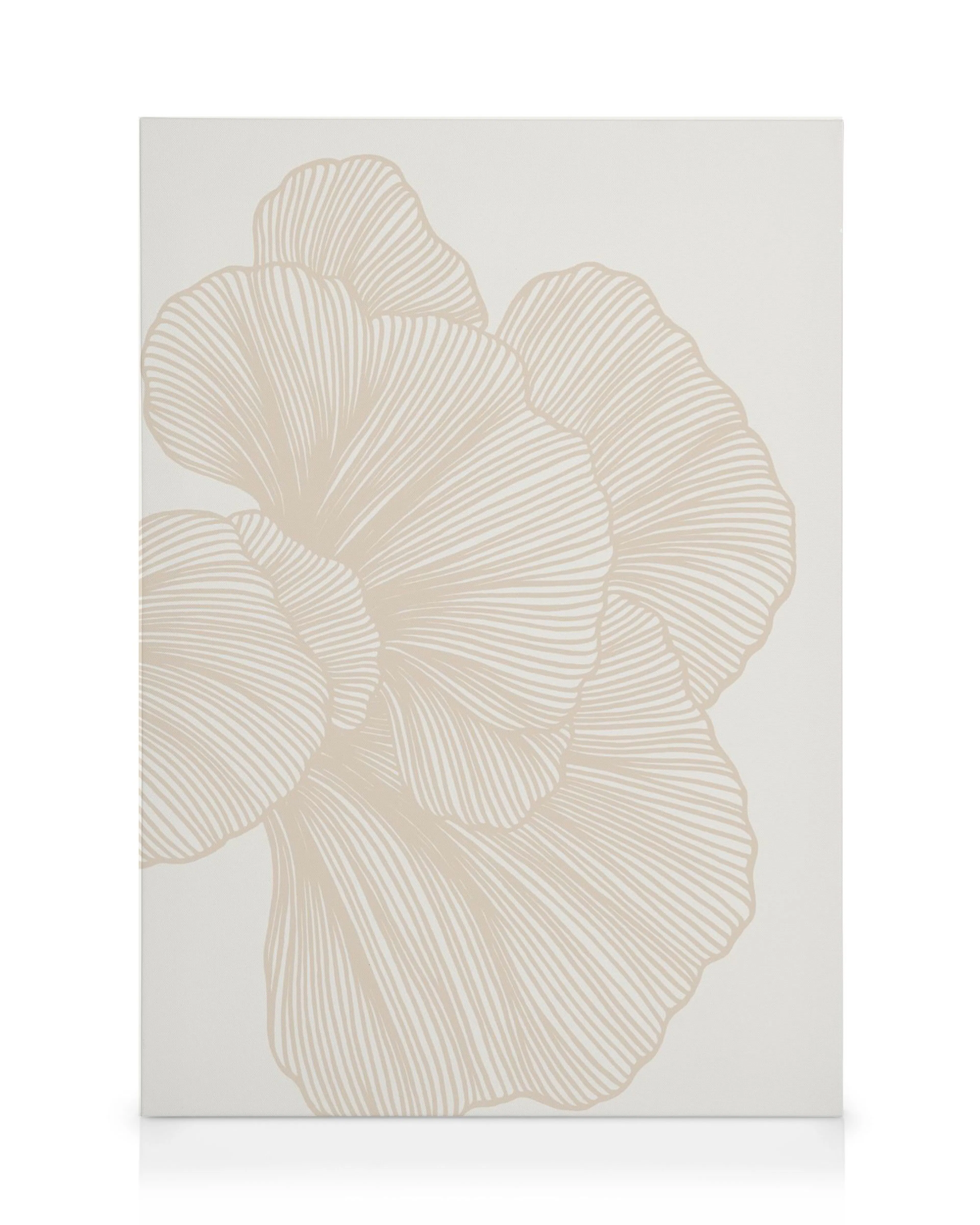 Tela decorativa com flor abstrata formada por linhas beges em fundo branco, arte de parede elegante.