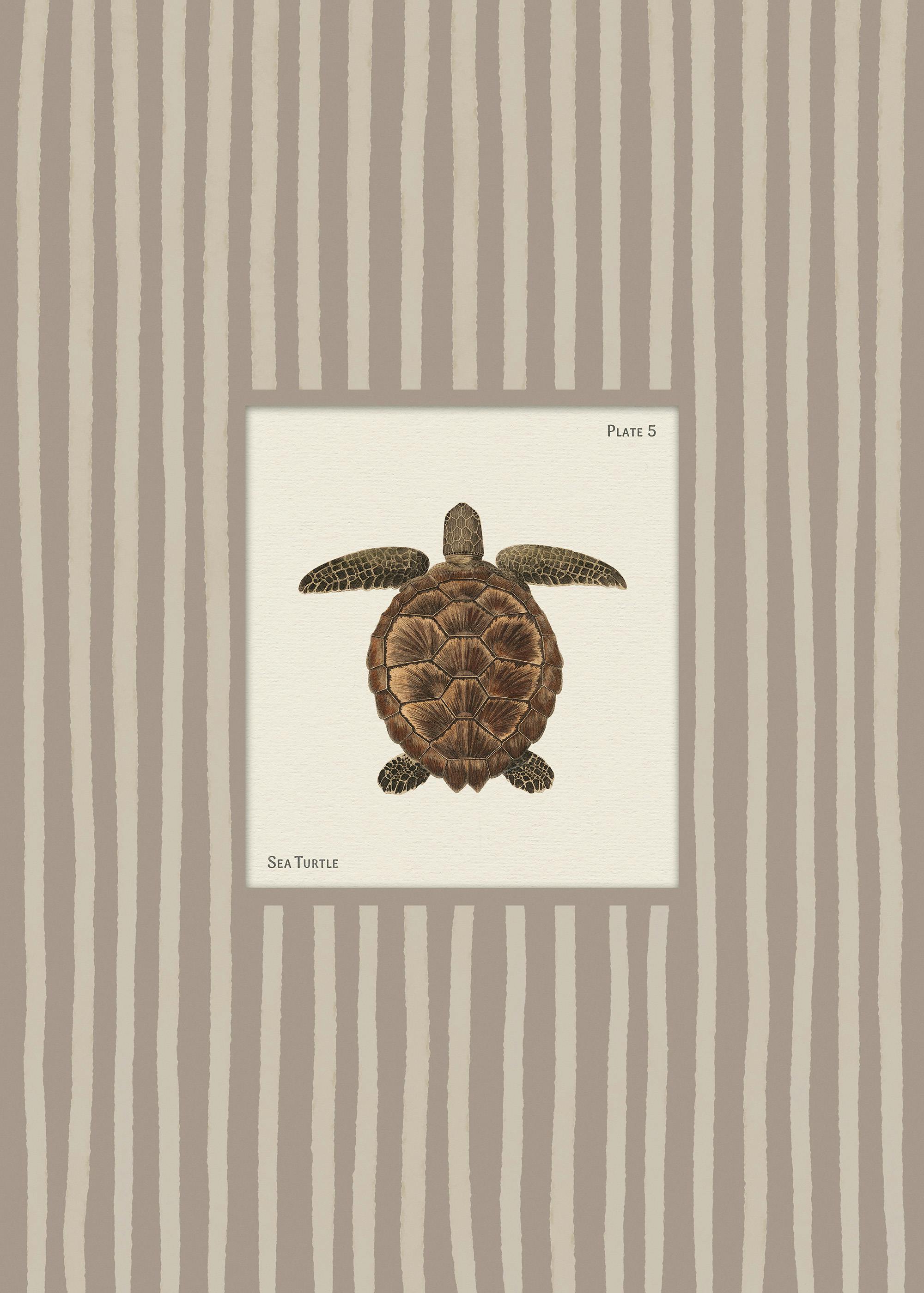 Vintage Sea Turtle Print 0