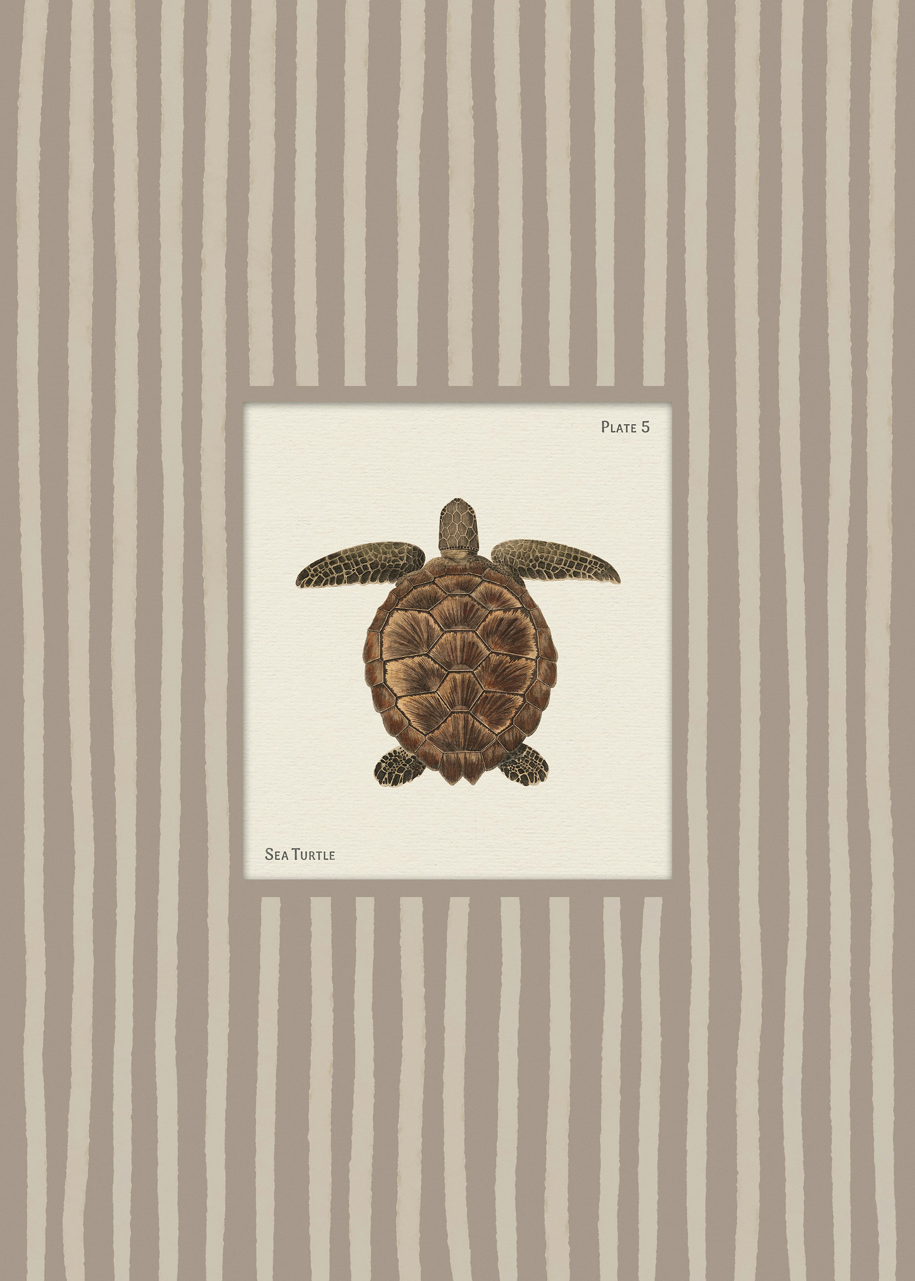 Vintage Sea Turtle Print 0