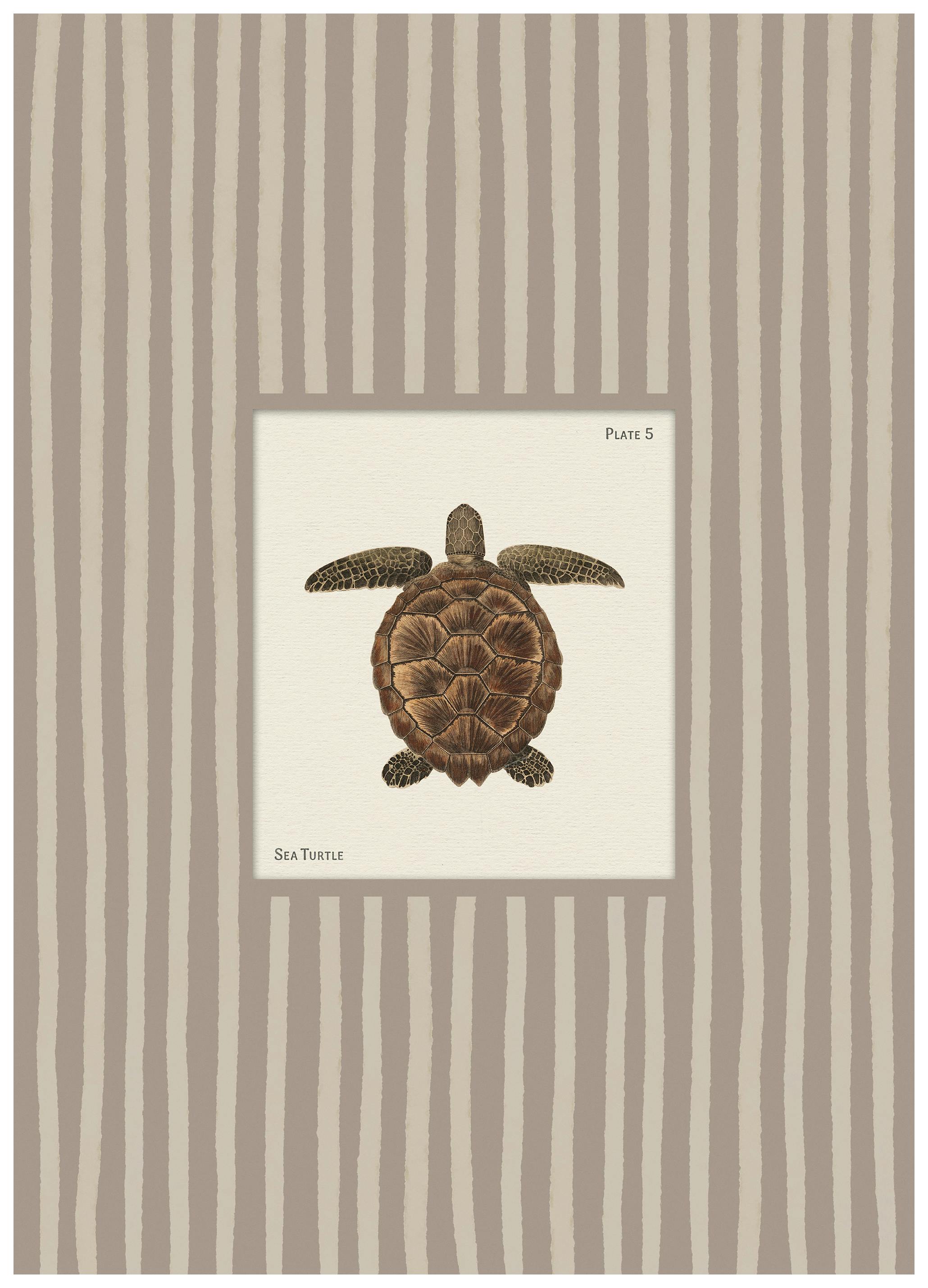Vintage Sea Turtle Poster (21x30 cm)