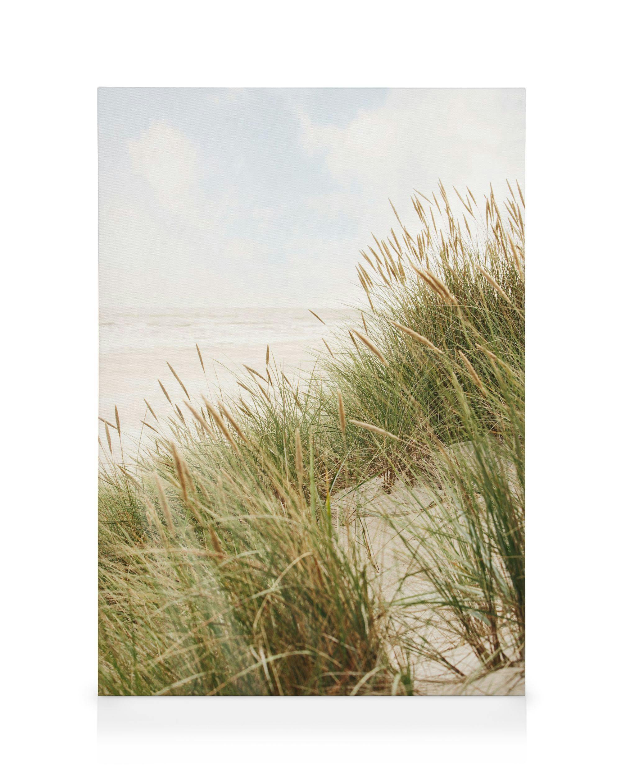 Still Shore Lienzo 0