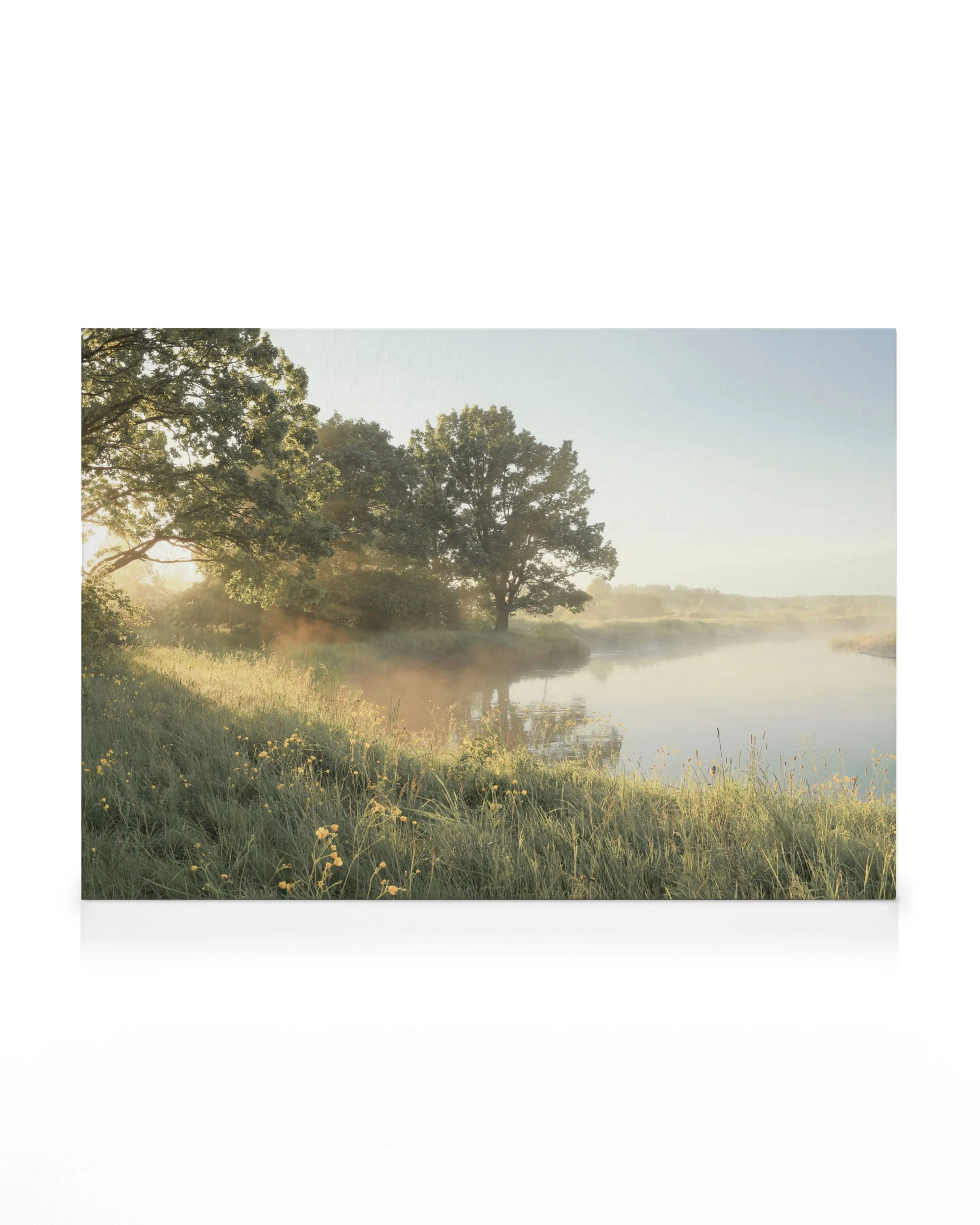 Product image: 1