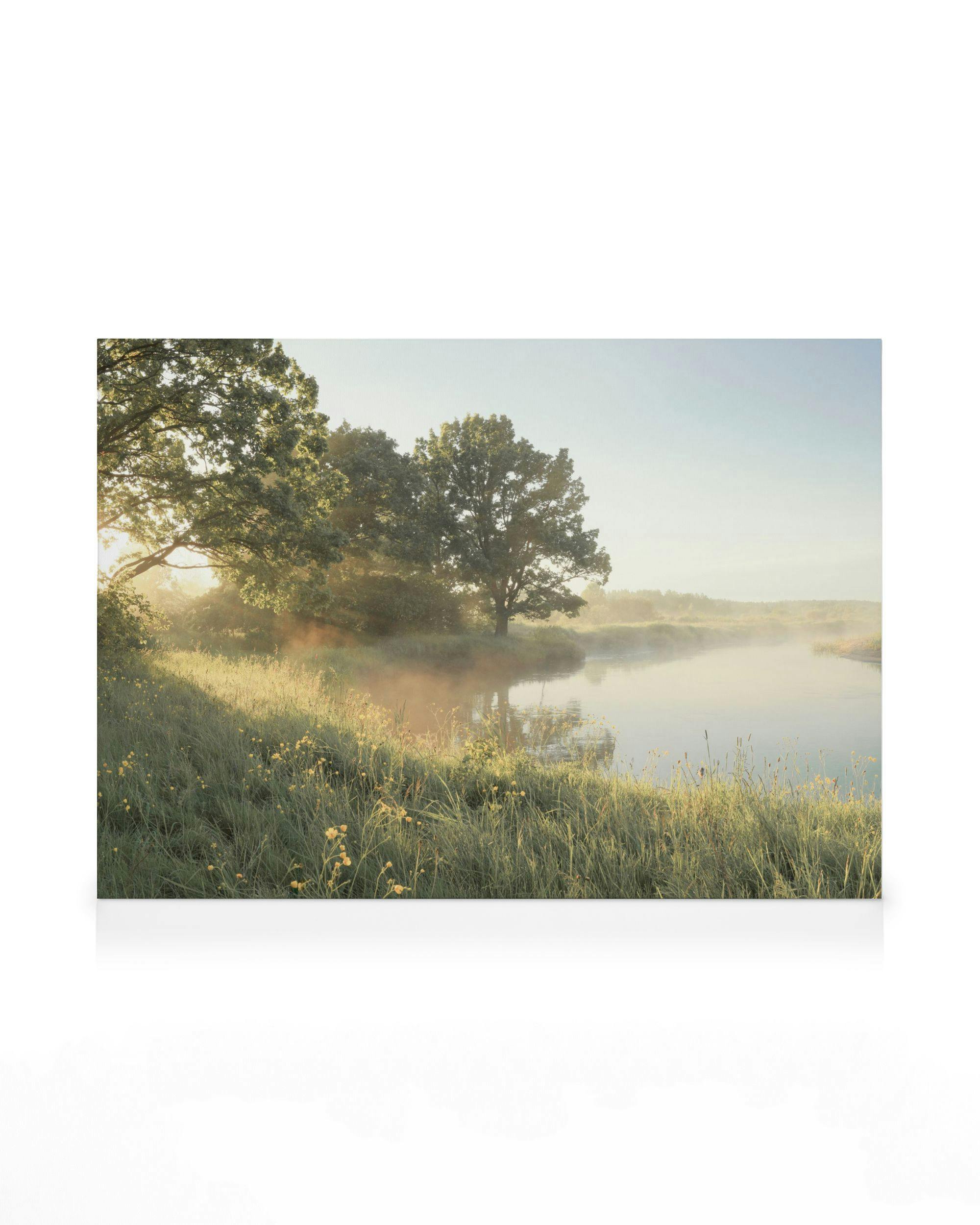 Canvastavlor Soft Morning Light Canvastavla (70x100 cm - Ekram)