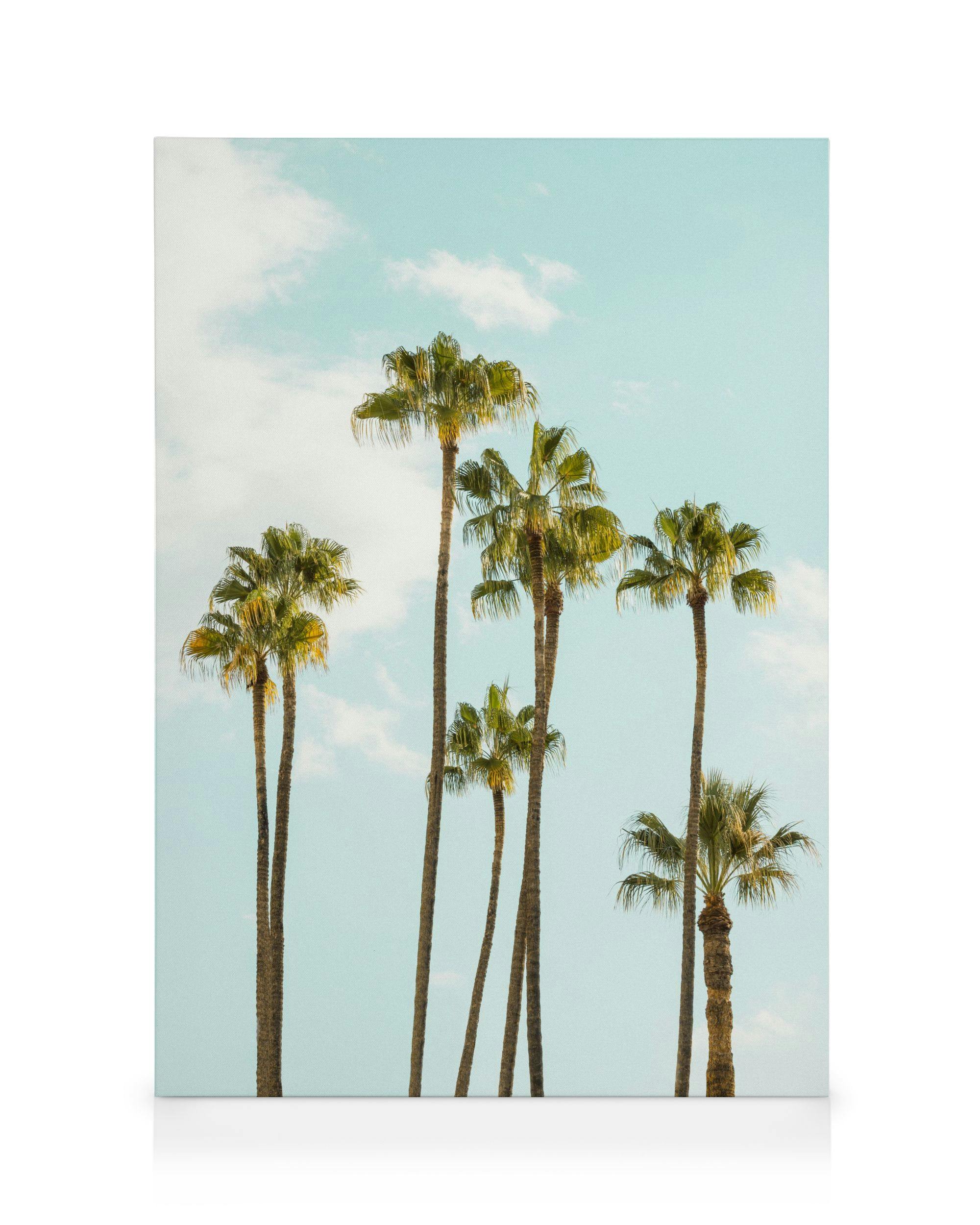 Canvas Prints Sunward Canvas print (100x140 cm)