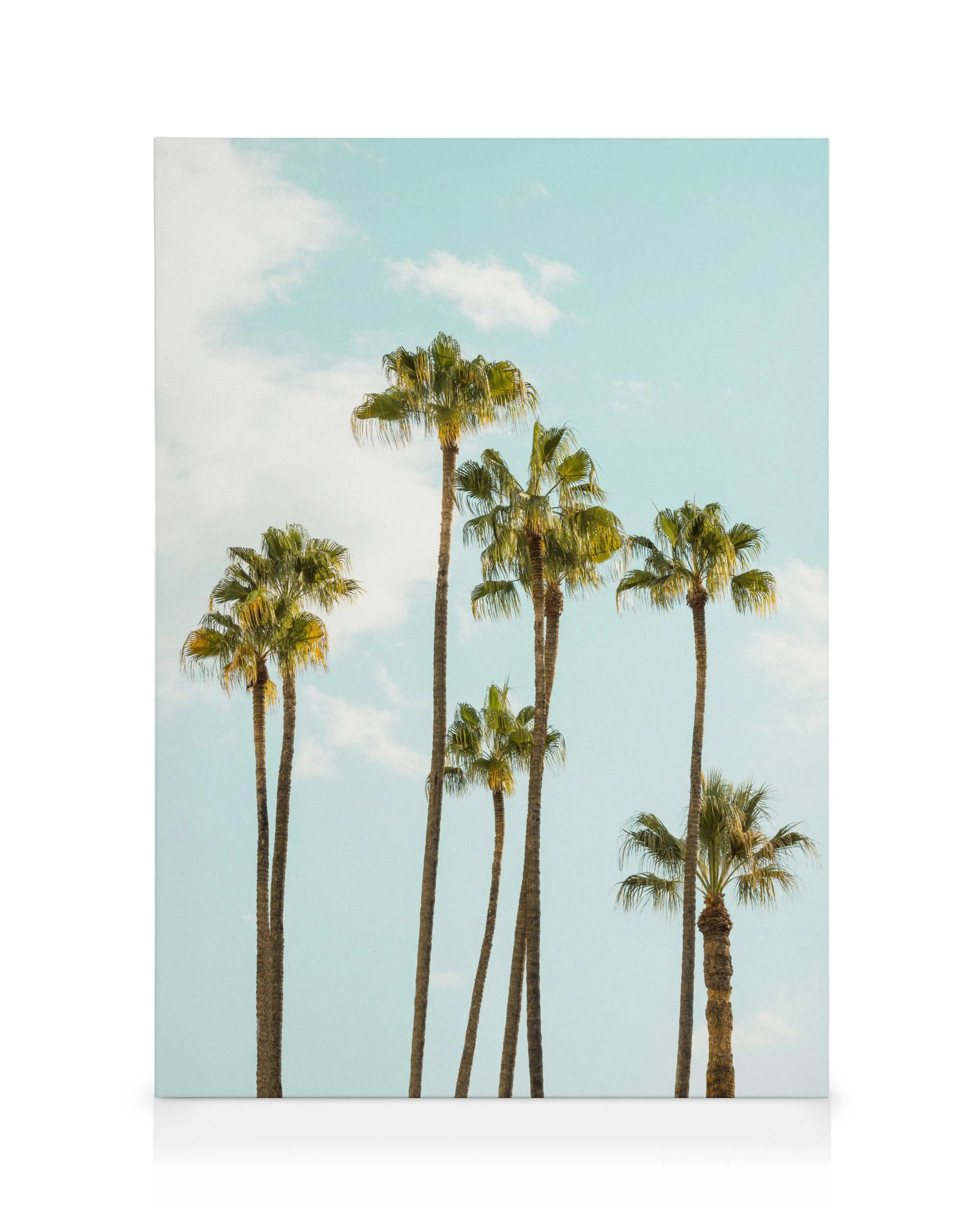 Sunward Canvas print 0