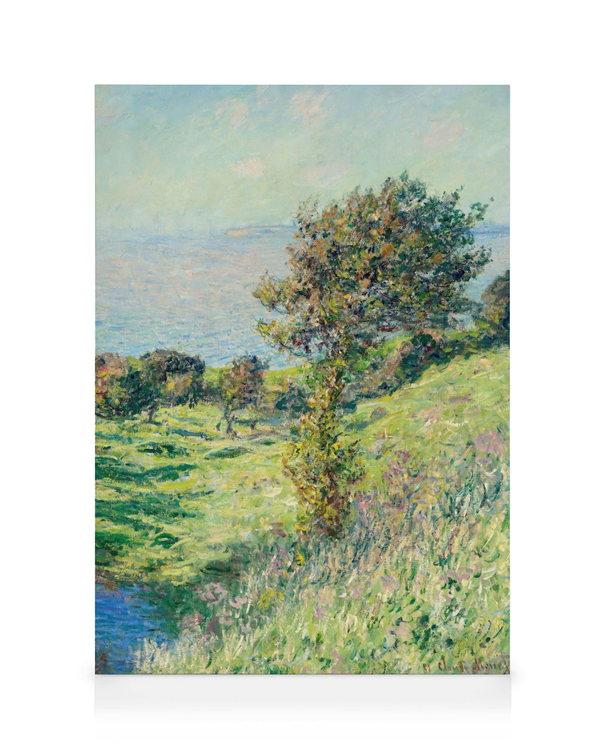 Monet - Coup de vent Lienzo 0