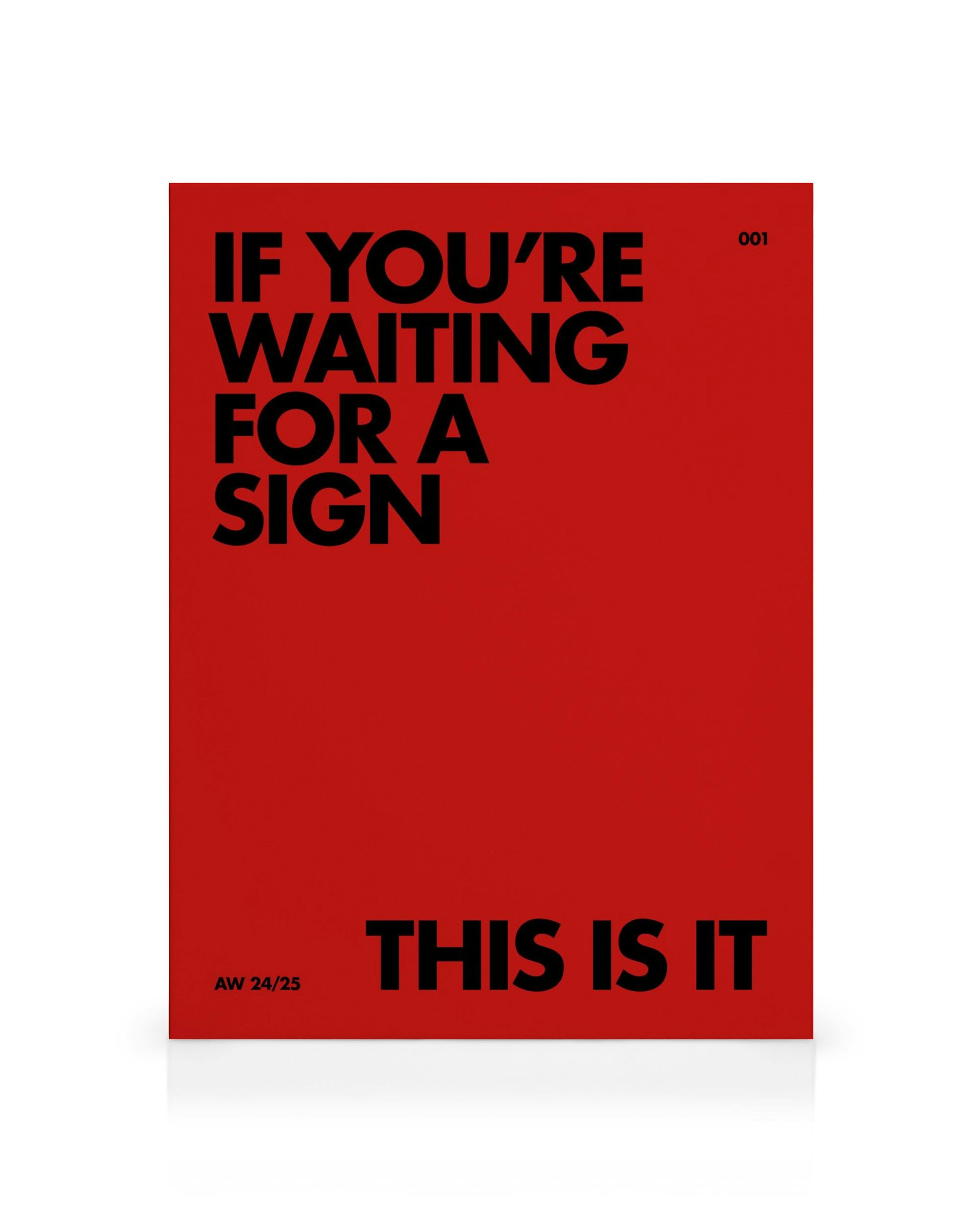 Stampa su tela rossa con la scritta IF YOURE WAITING FOR A SIGN THIS IS IT in nero.