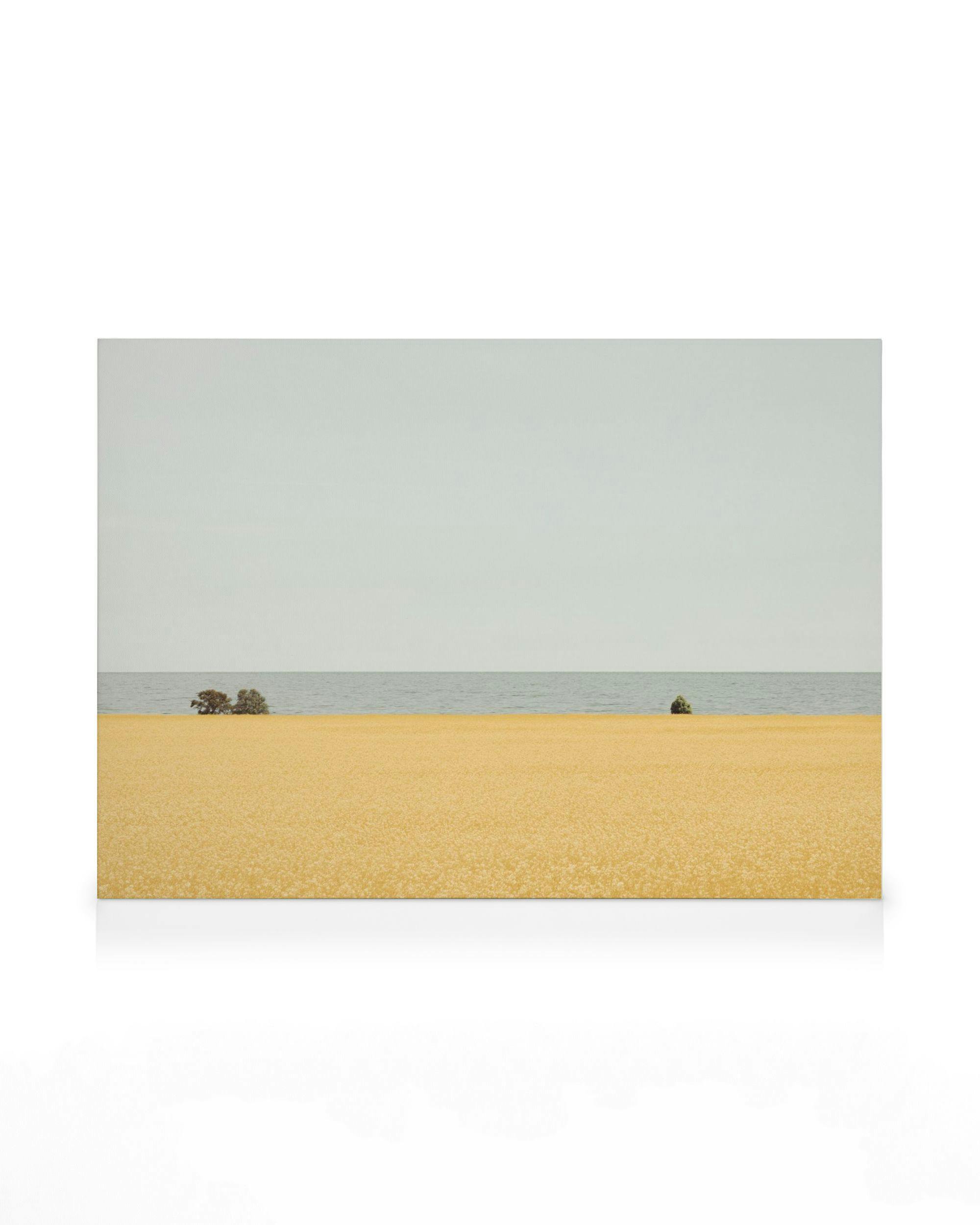 Minimalistisches Leinwandbild eines Strandes mit goldenem Sand, grauem Himmel und blauem Meer.