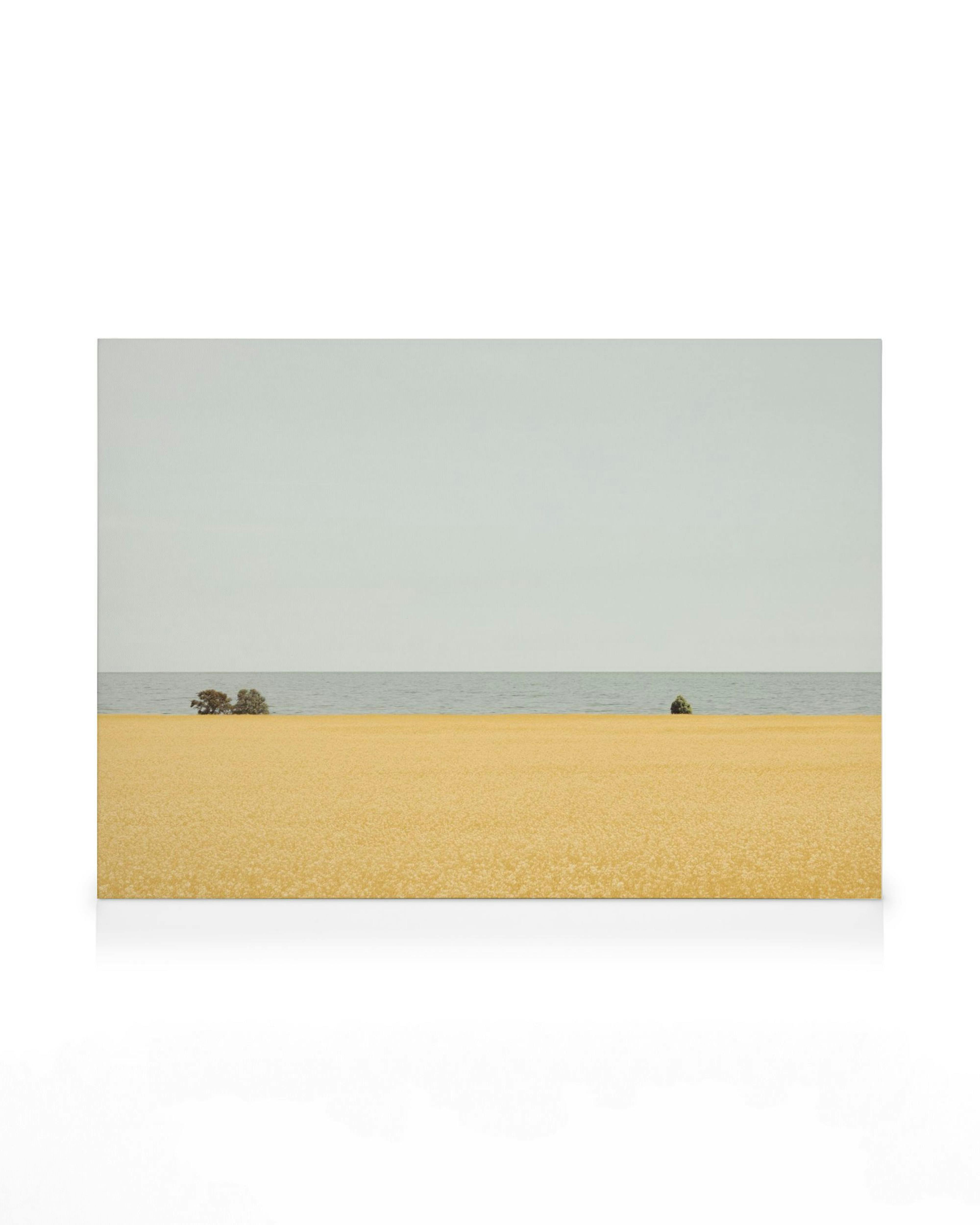Minimalistisches Leinwandbild eines Strandes mit goldenem Sand, grauem Himmel und blauem Meer.
