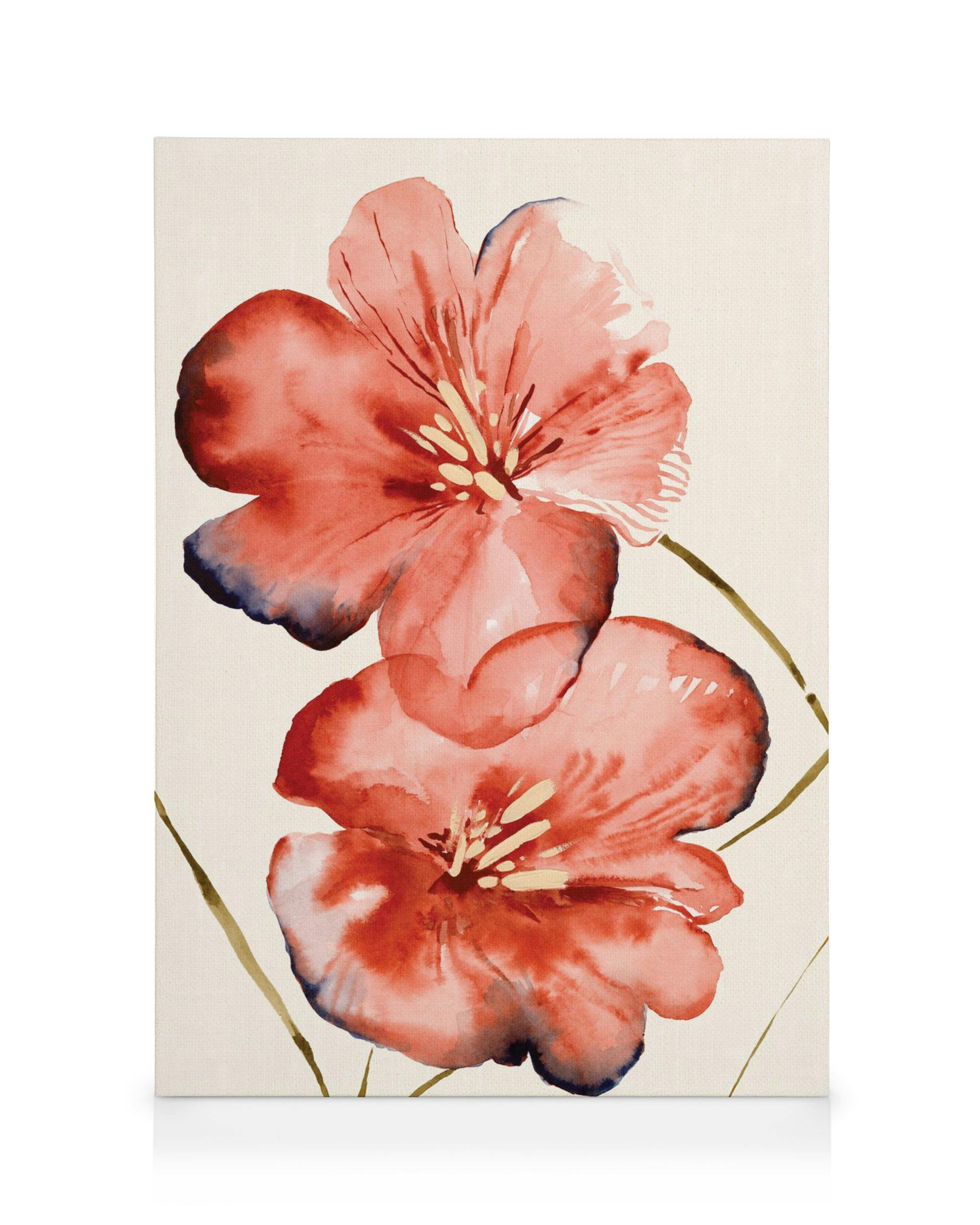 Stampa su tela con due fiori rossi acquerello e petali sfumati di blu, su sfondo chiaro.