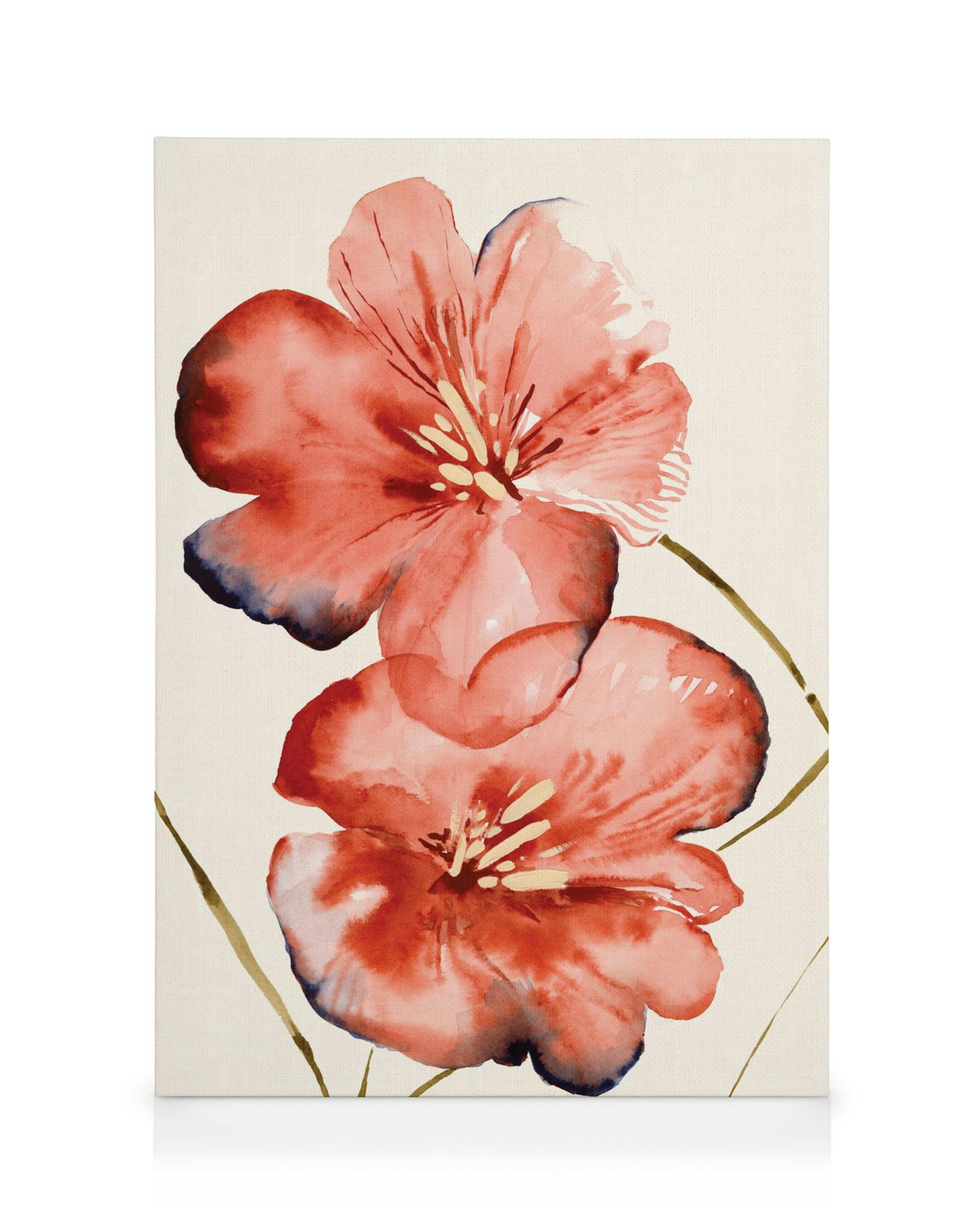 Stampa su tela con due fiori rossi acquerello e petali sfumati di blu, su sfondo chiaro.