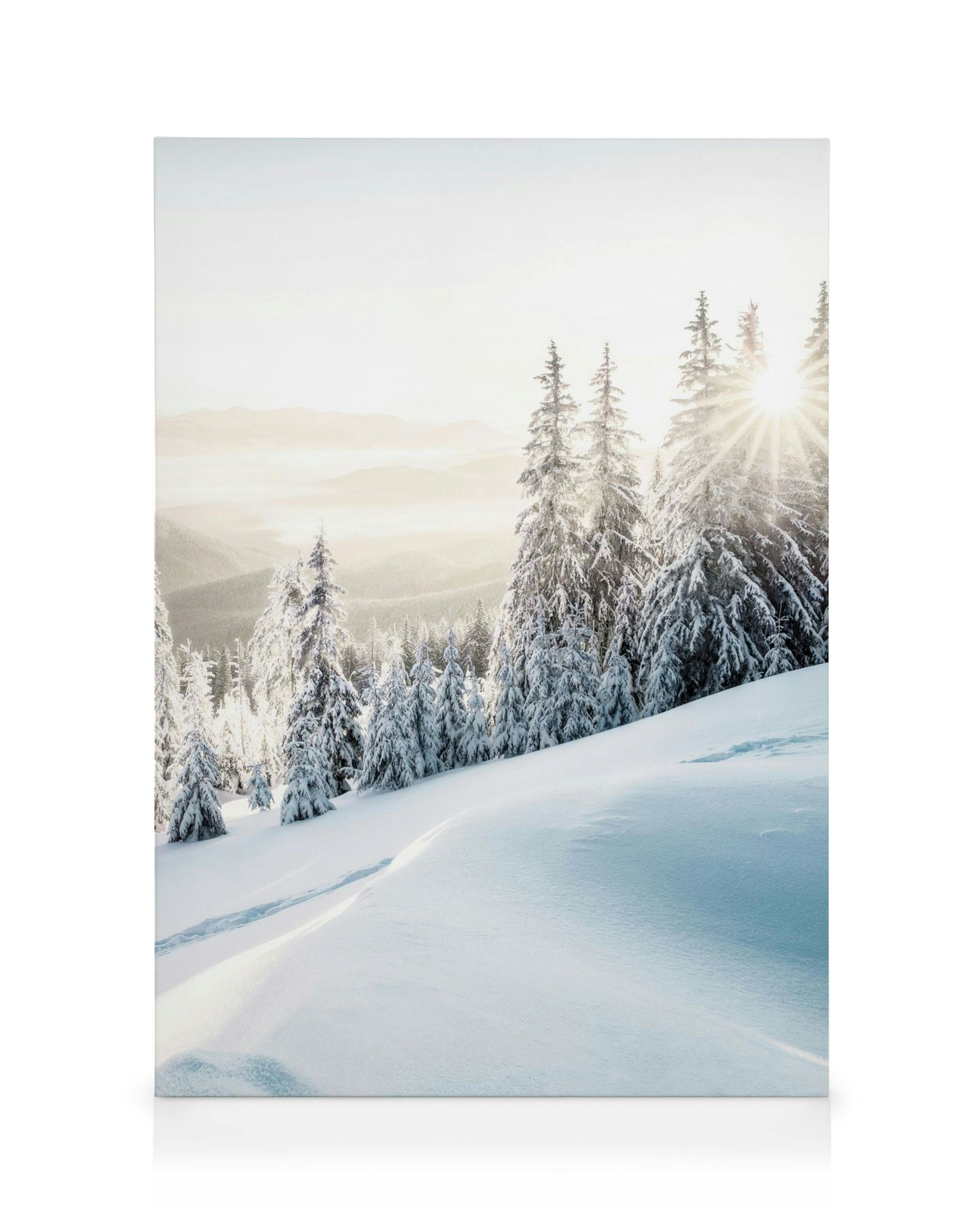 Winterlandschaft mit schneebedeckten Tannenbäumen und strahlendem Sonnenaufgang über Berggipfeln, Winterwunderland.