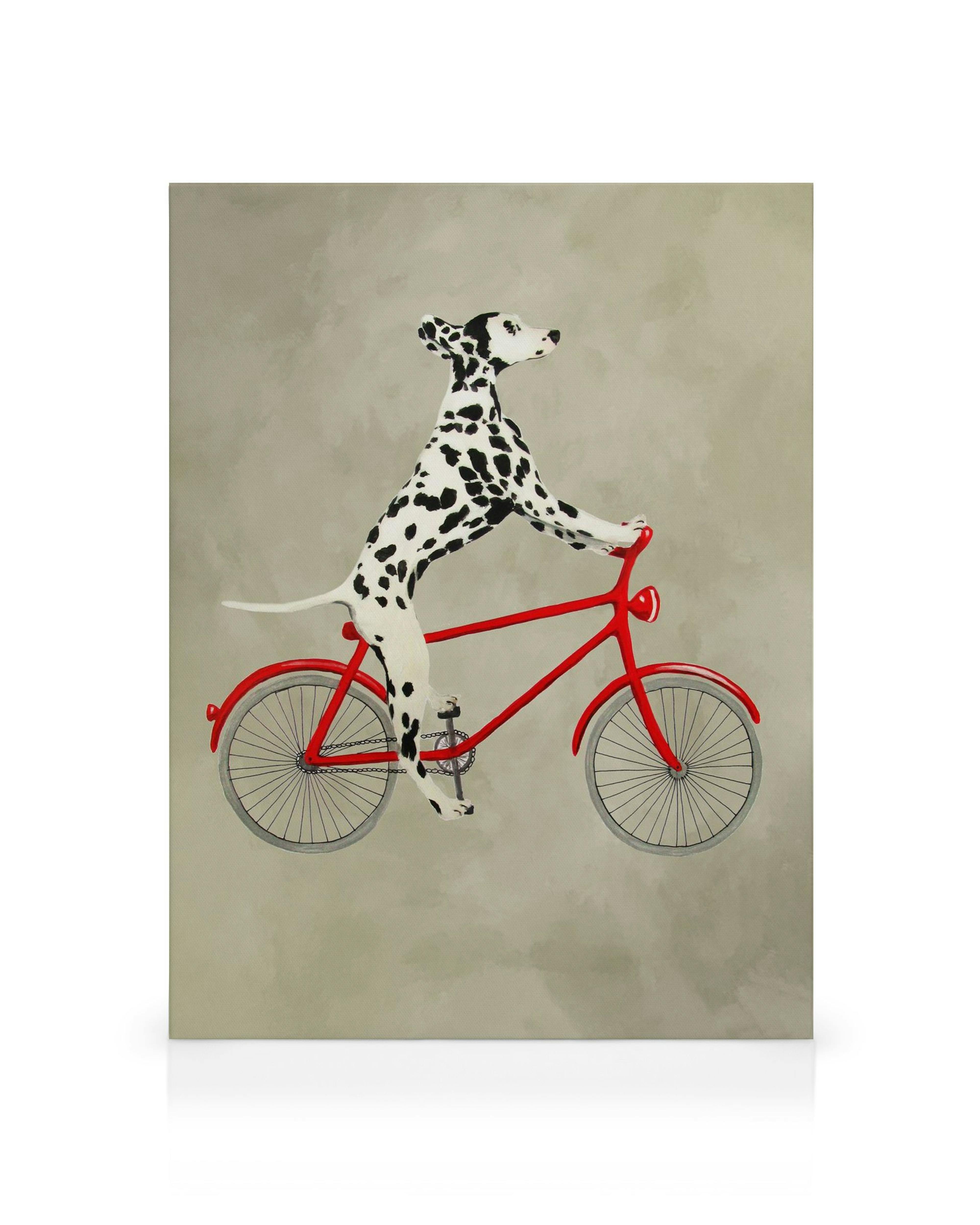 Quadro em tela com dálmata branco e preto a andar de bicicleta vermelha, fundo cinzento, arte de parede divertida