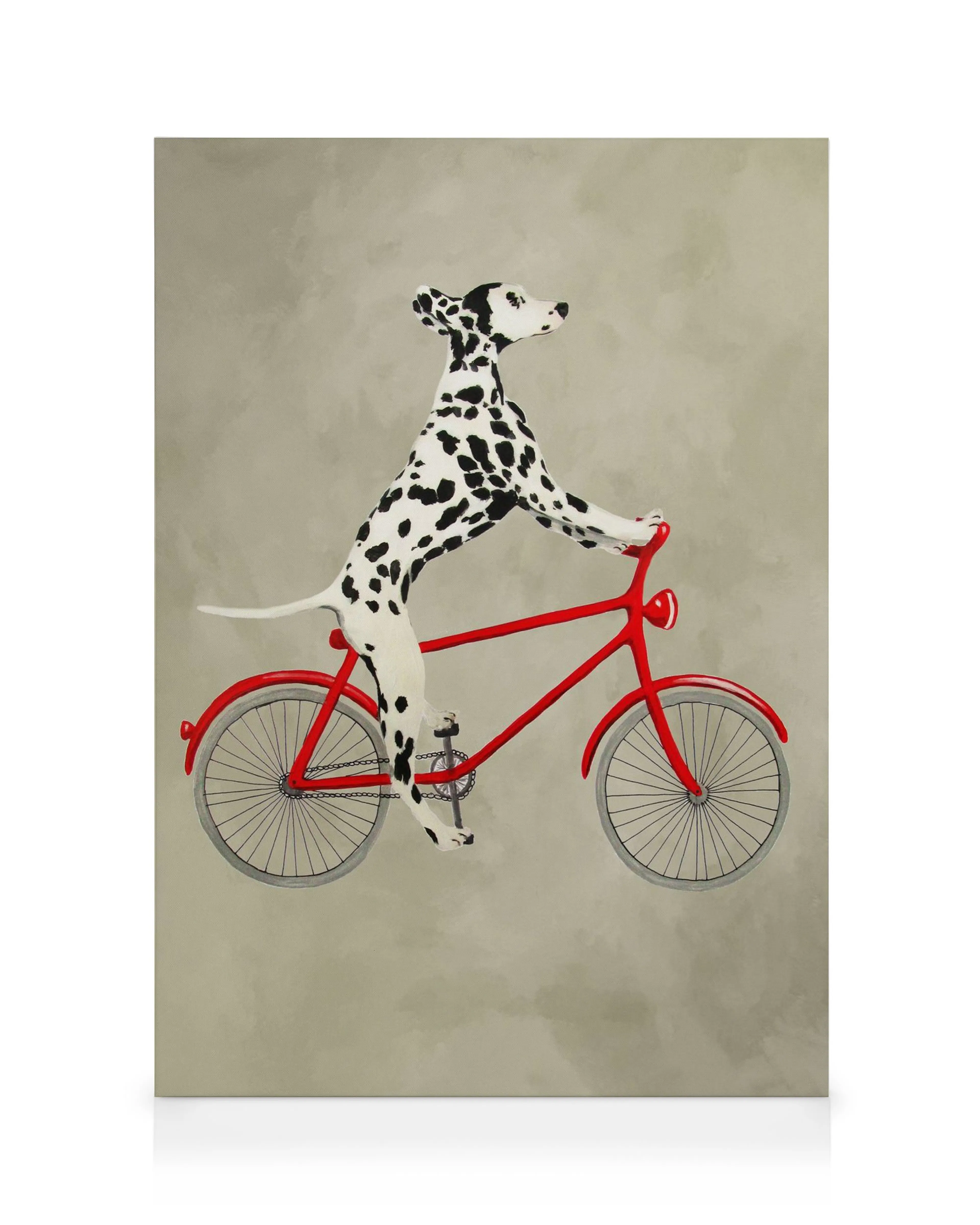 Gevlekte dalmatiër hond met poten op het stuur van een rode fiets, op een grijze achtergrond. Speelse dieren canvas.