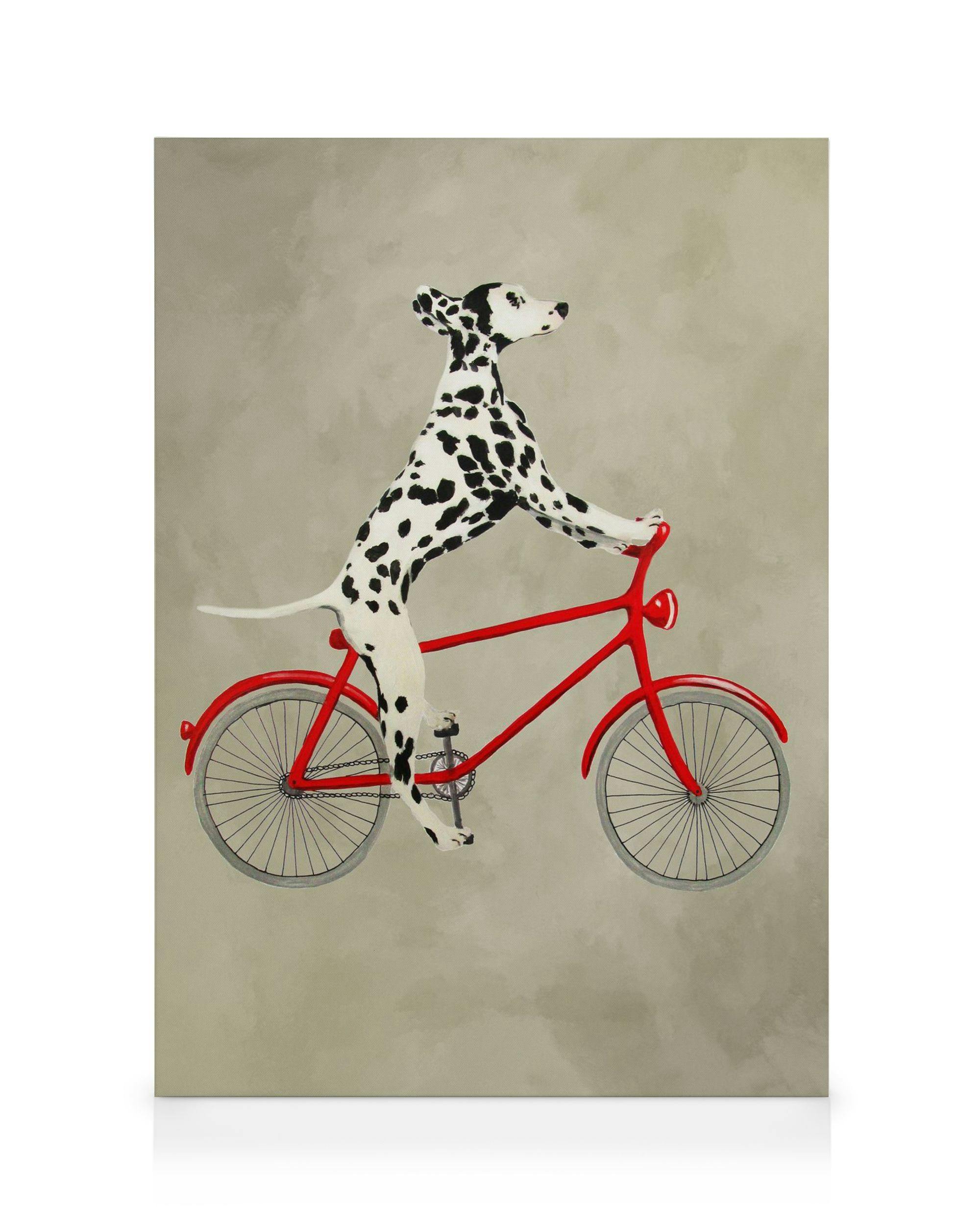 Coco De Paris - Dalmatian on Bicycle Tableau sur toile (30x40 cm) - Toiles par Desenio