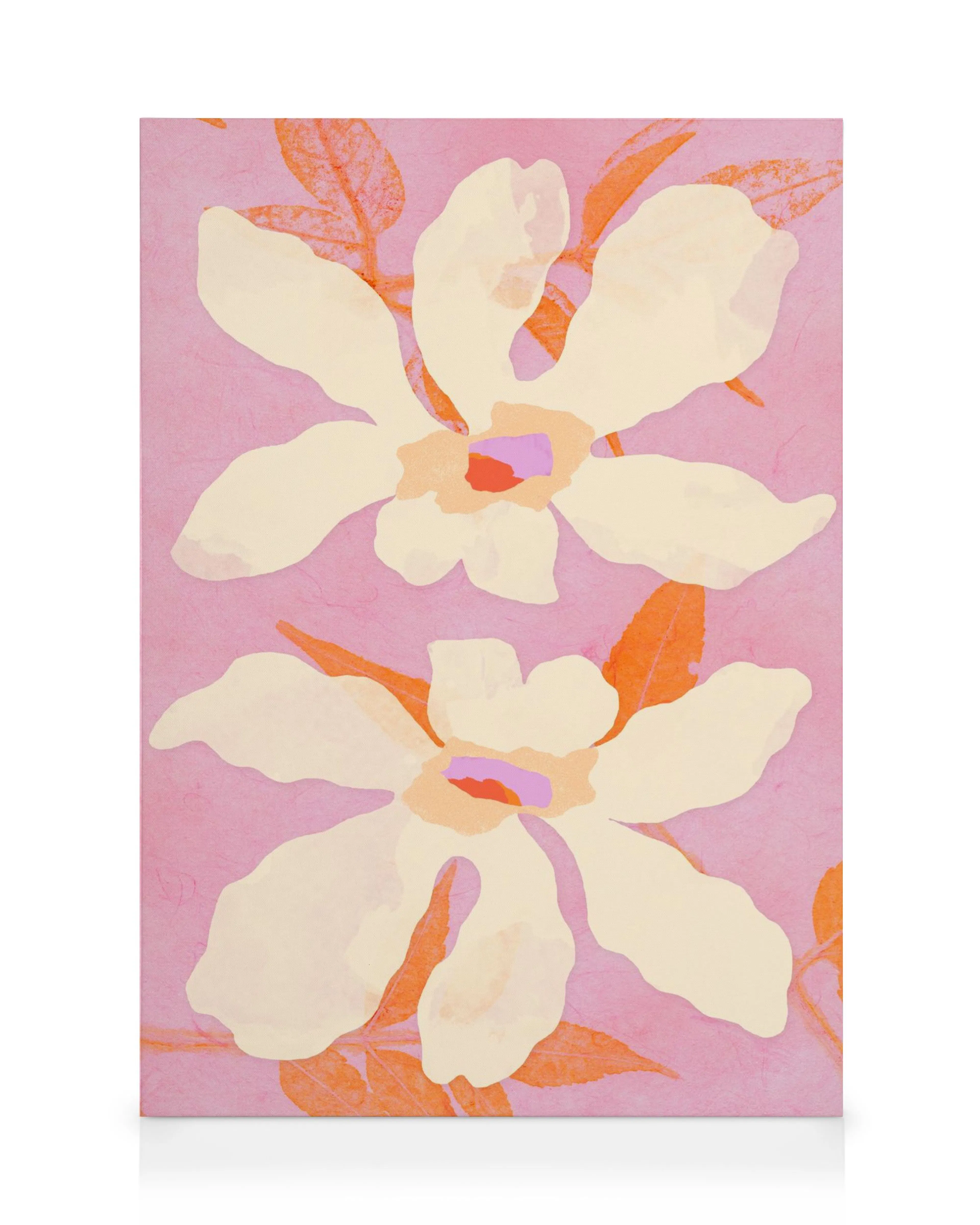 Two white flowers with orange and pink details on a vibrant pink background, stylized petals, floral canvas print.