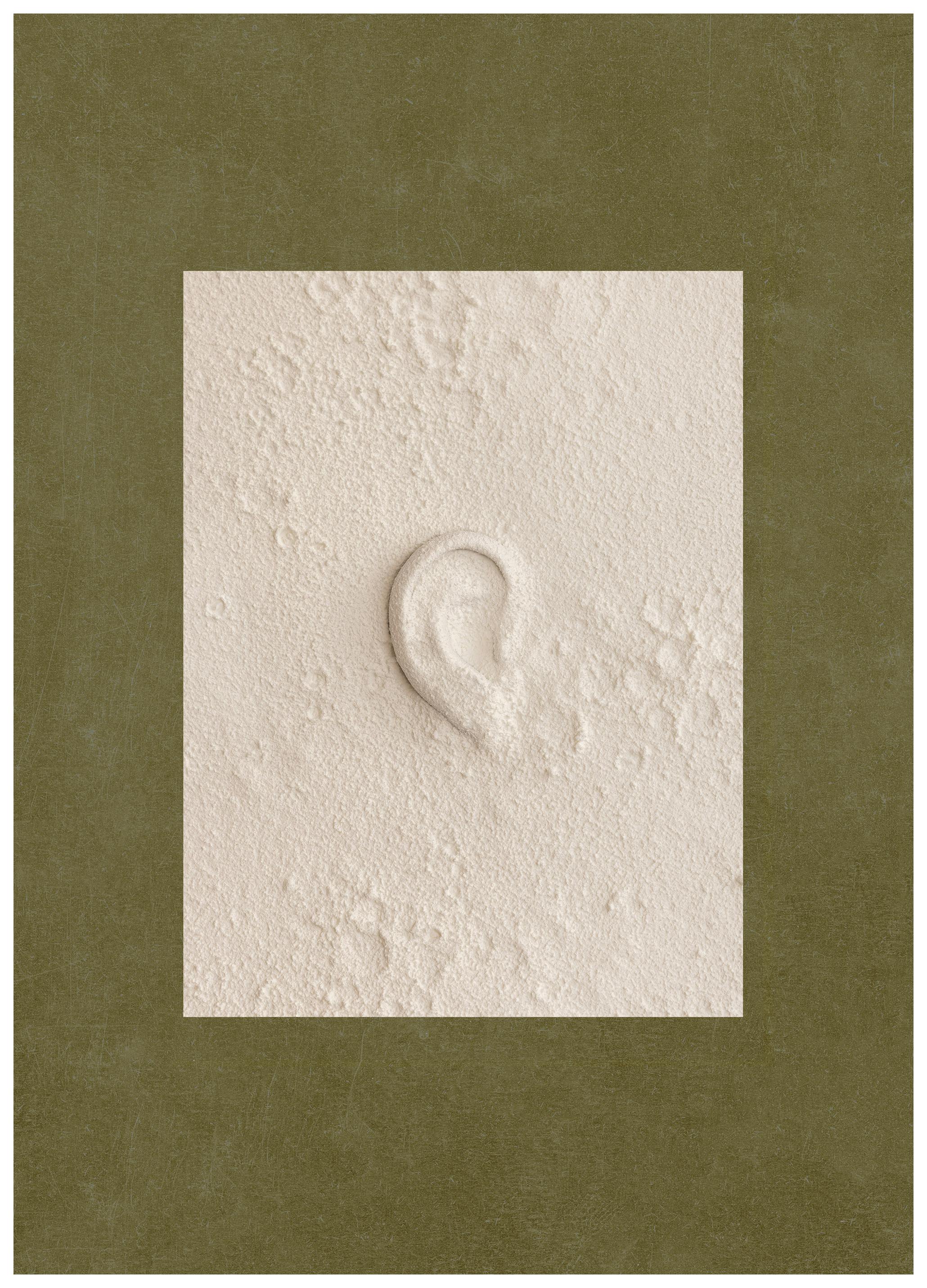 Auris Print (100x150 cm)