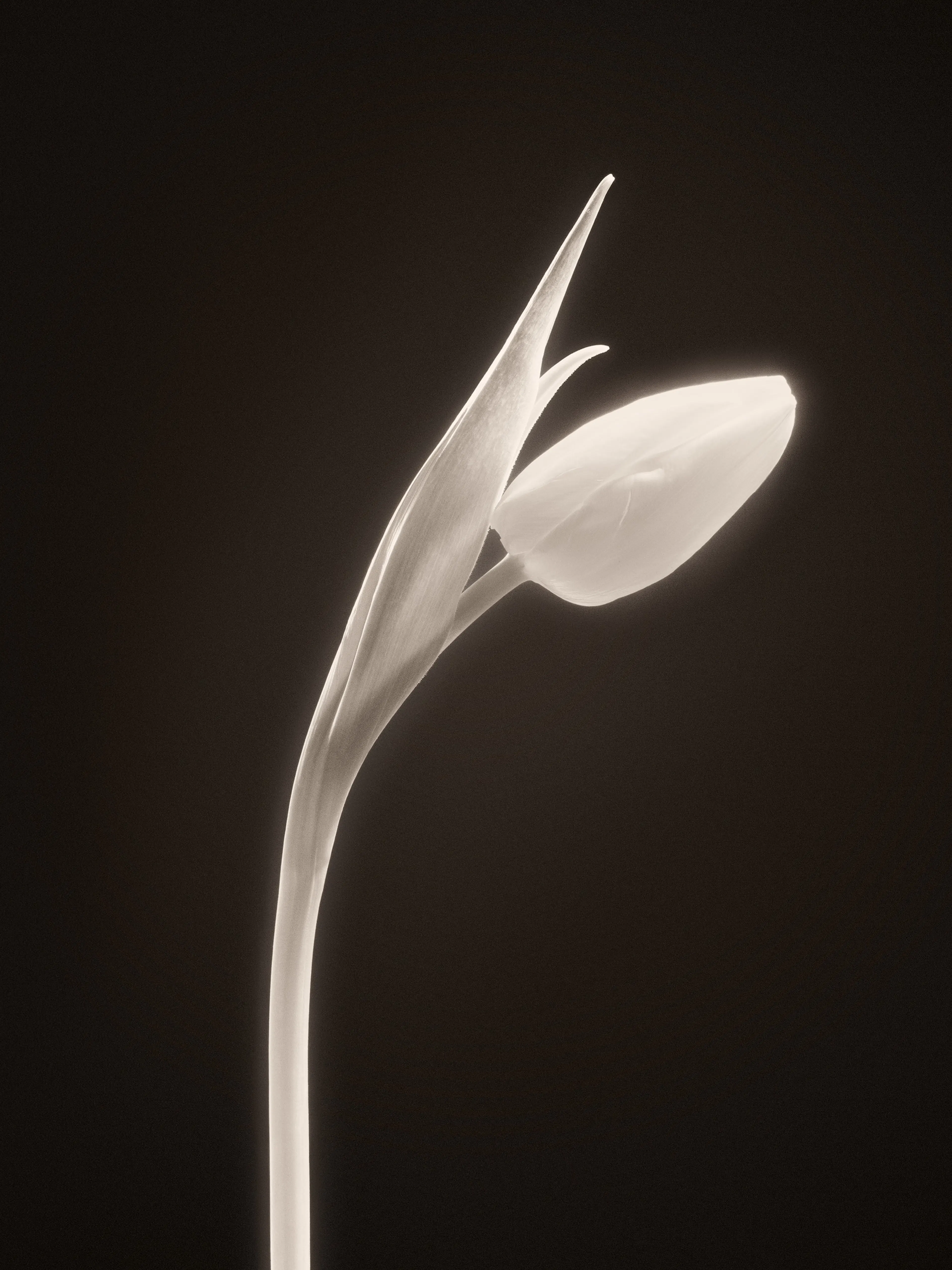 Product image: 1