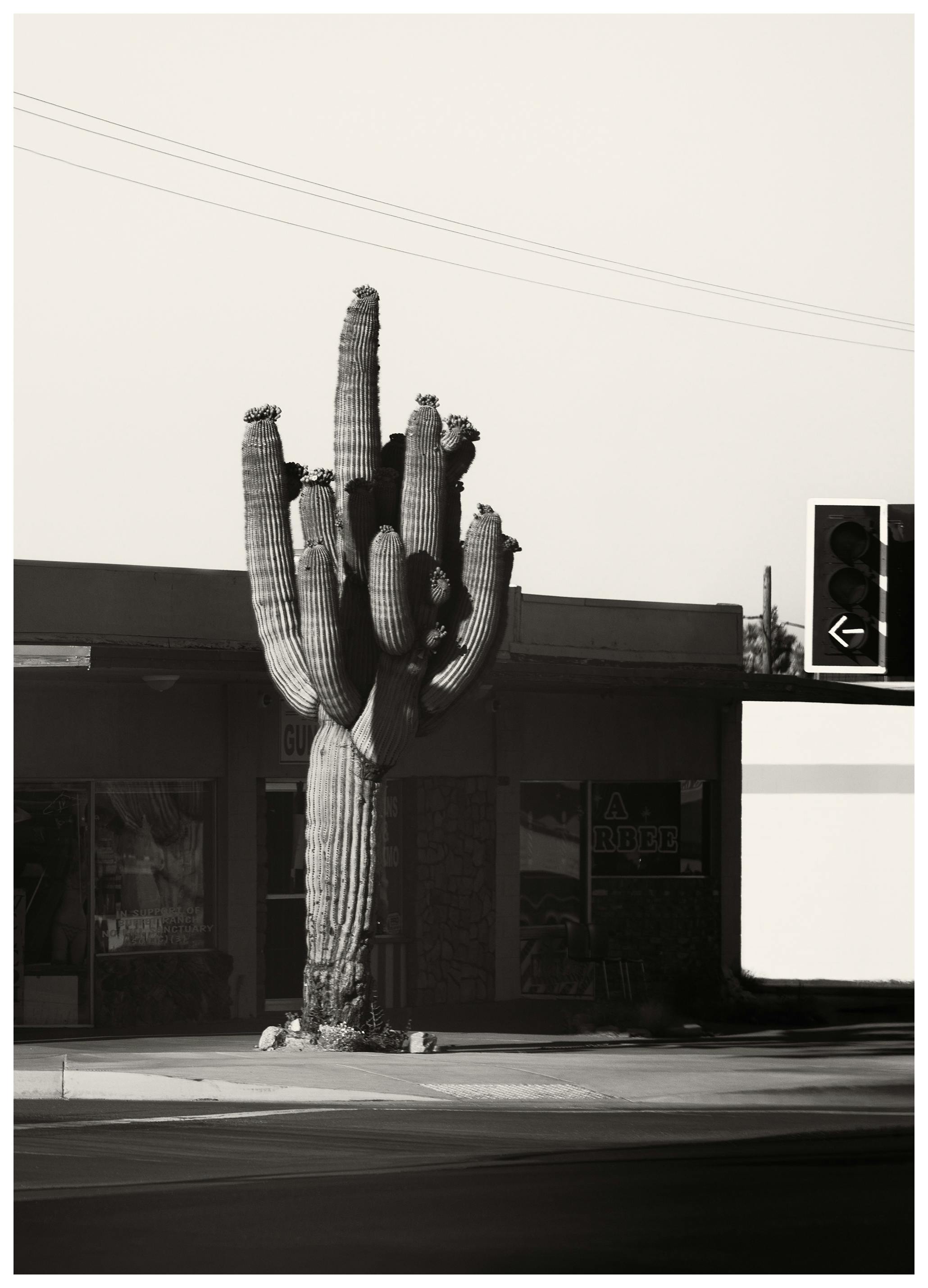 Prints - Still Heat Print (100x150 cm) - Black & white photography