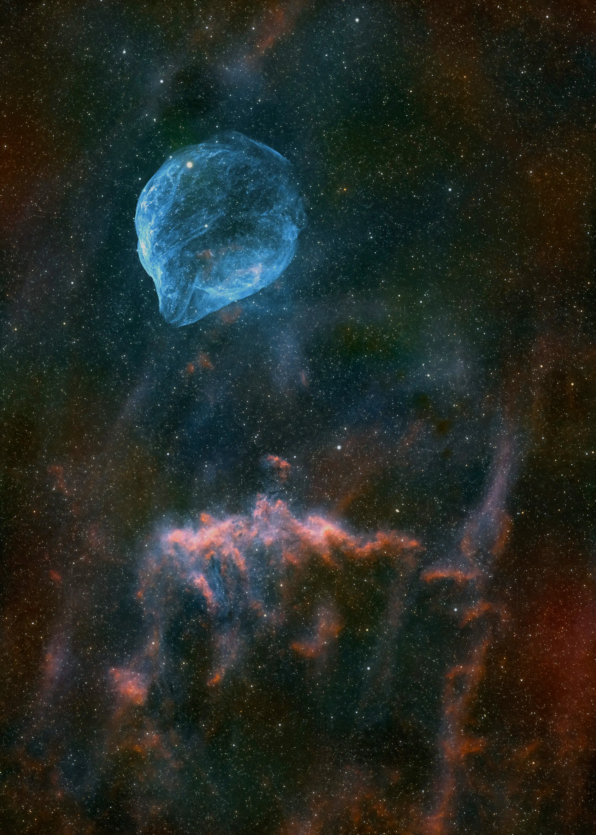 Dolphin Nebula Print 0