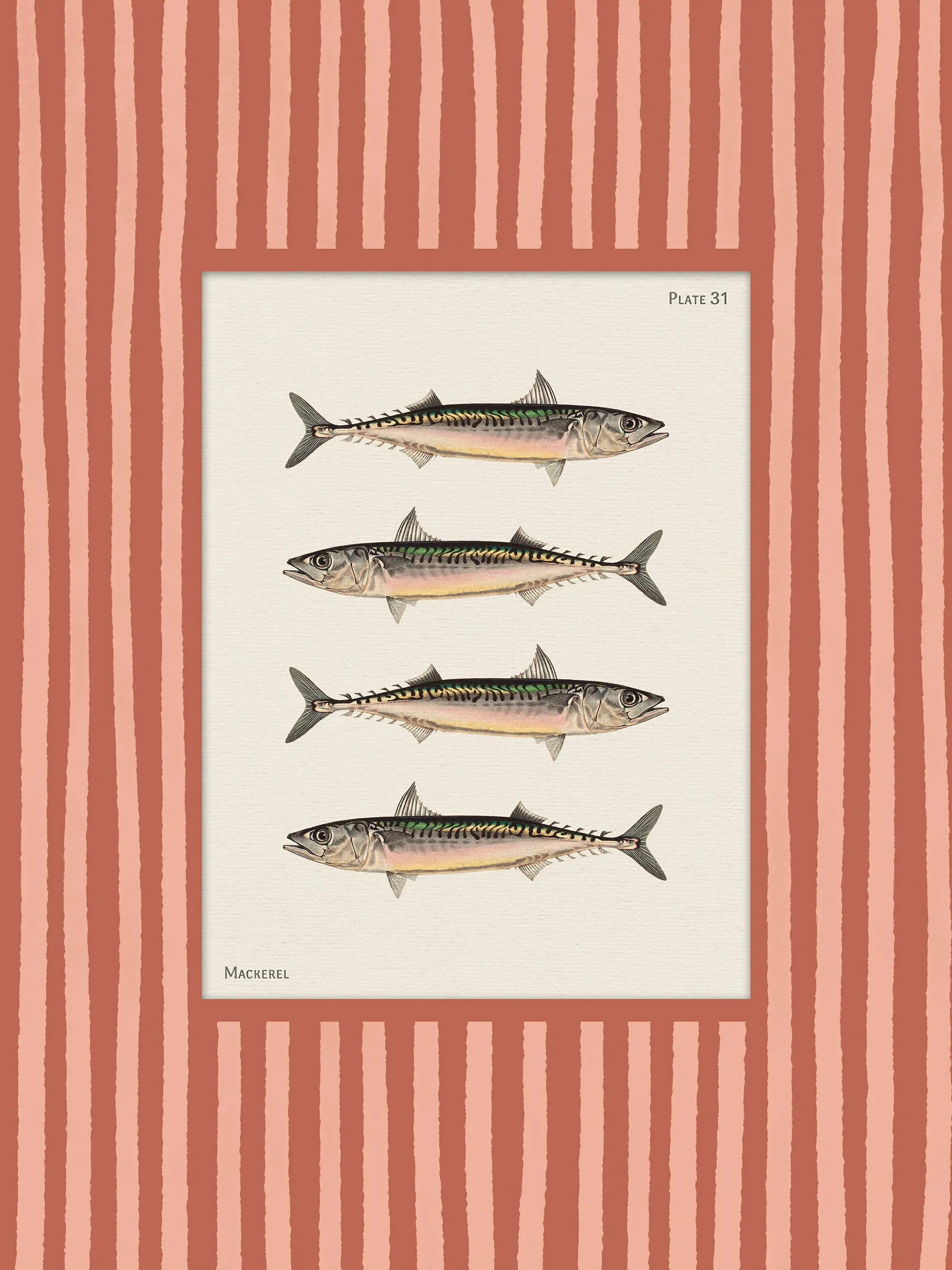 Vintage Mackerel Affiche 0