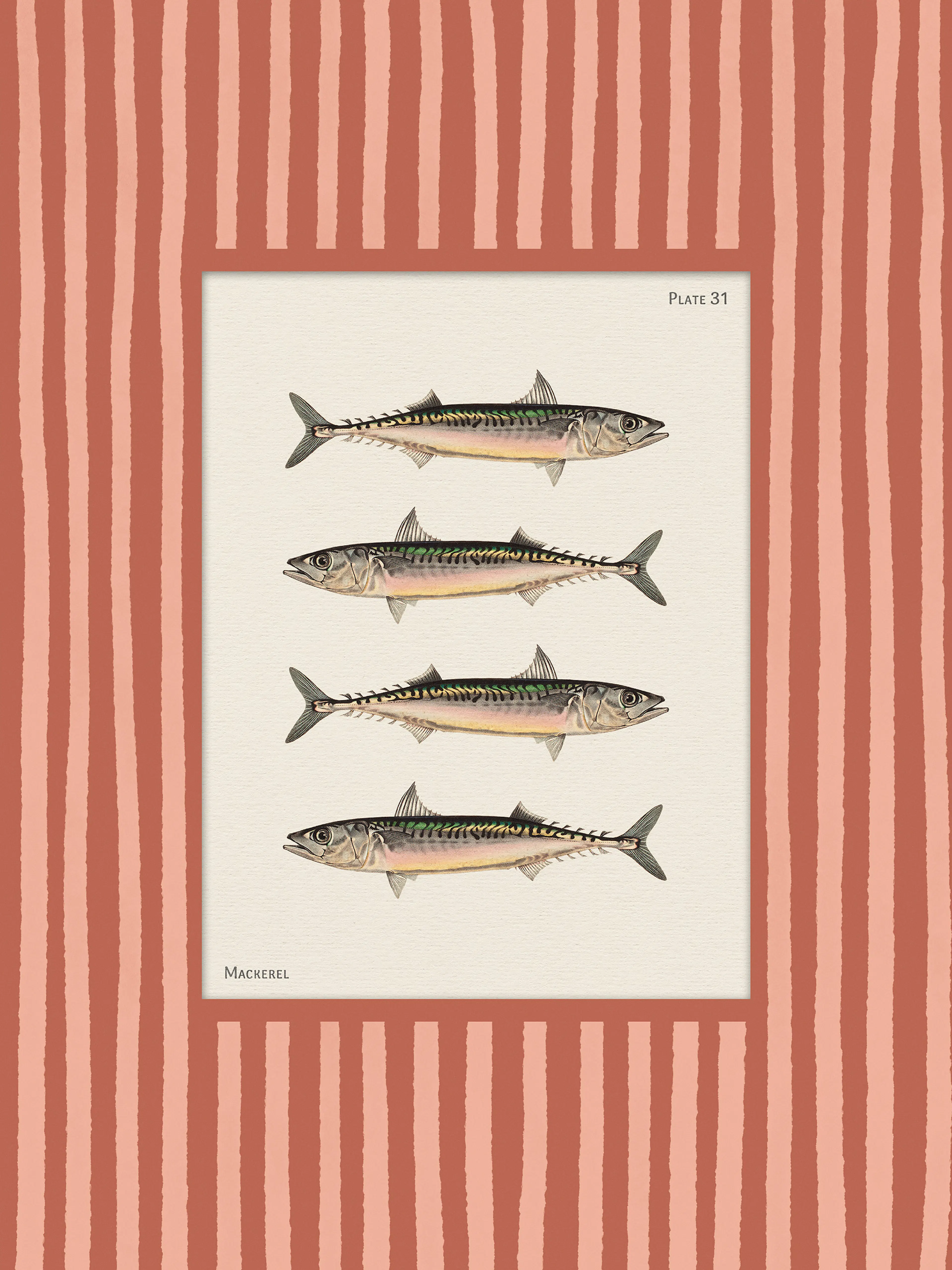 Vintage Mackerel Affiche 0