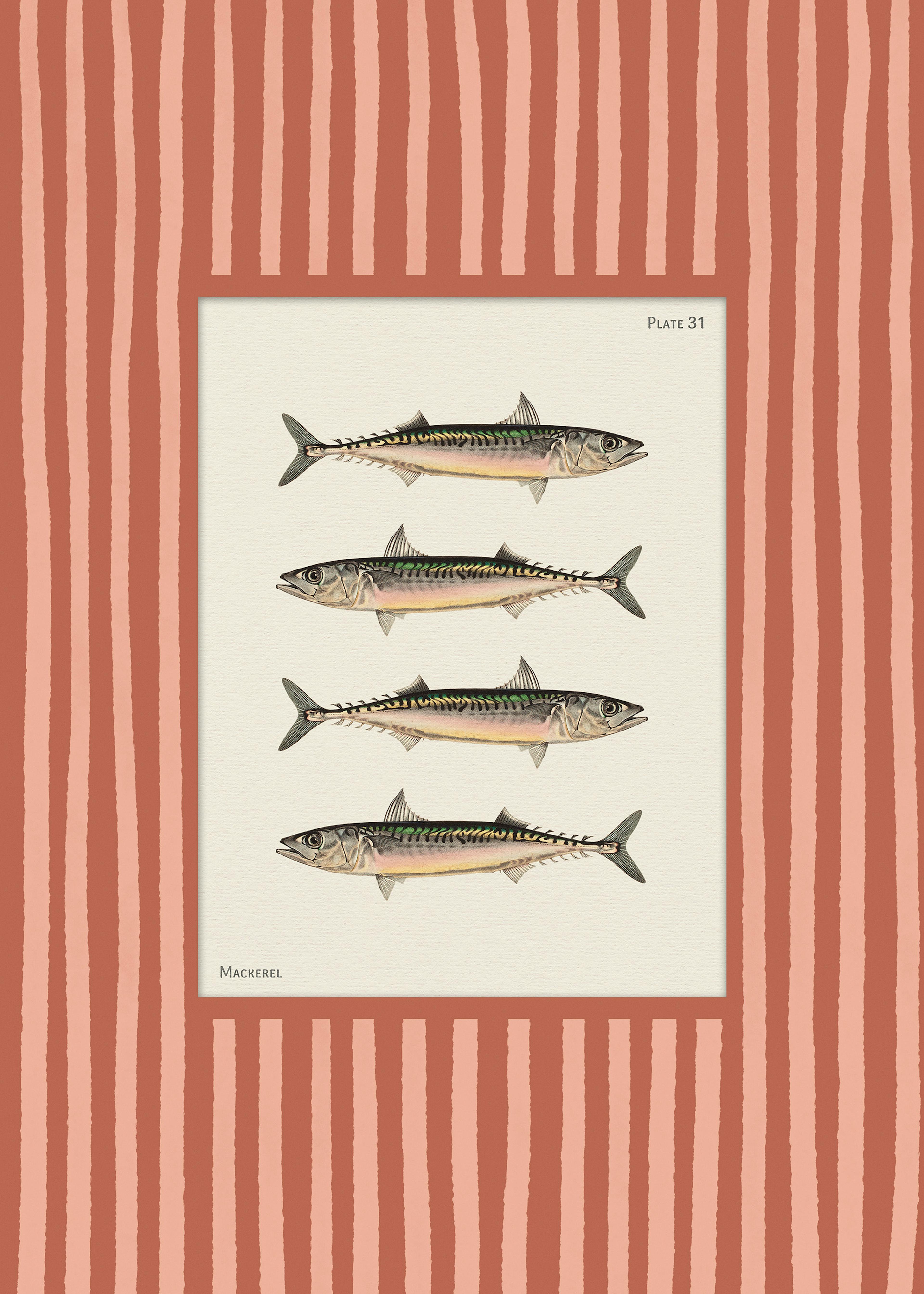 Vintage Mackerel Print 0