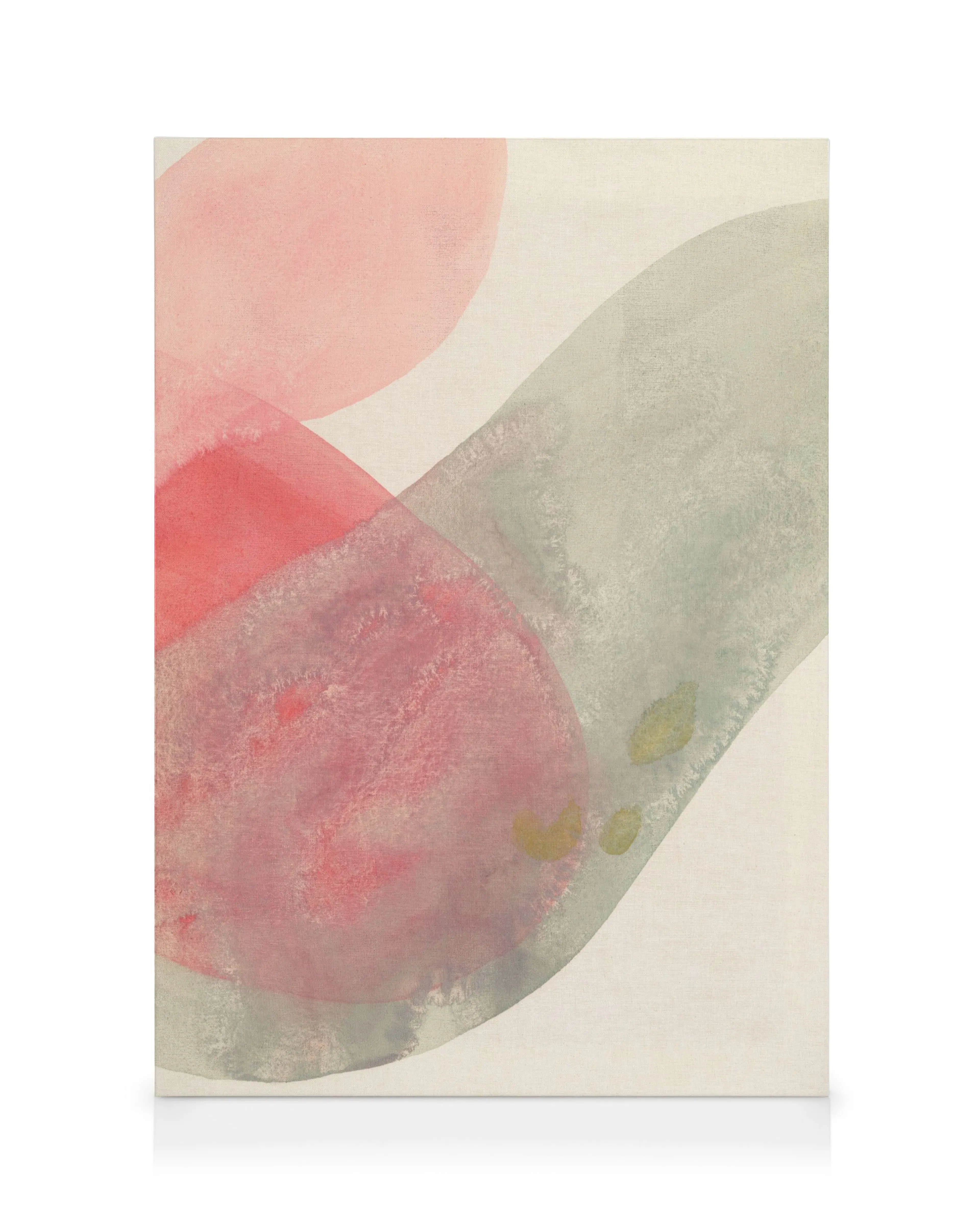 Flowy Forms No2 Canvas print 0