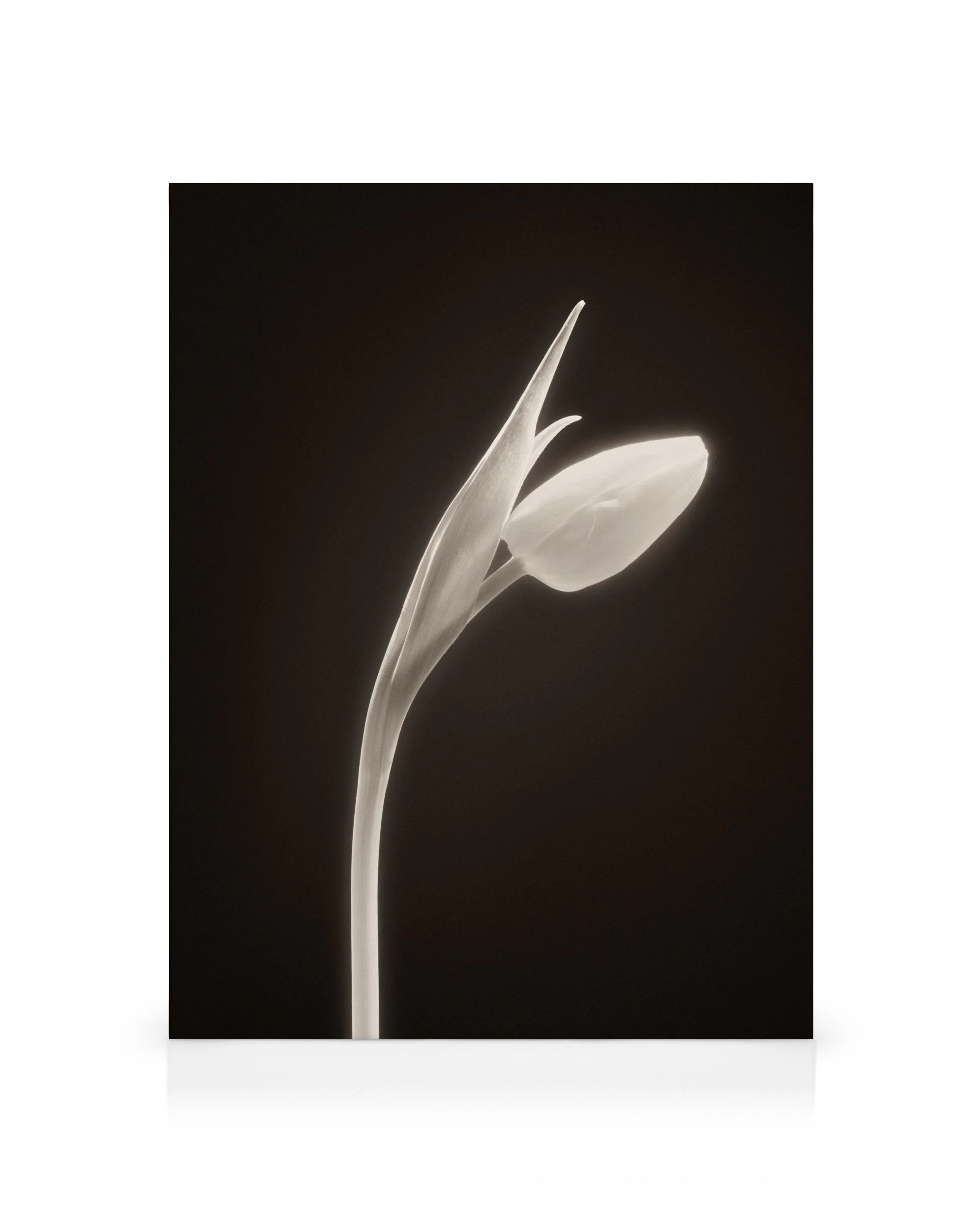 Product image: 1