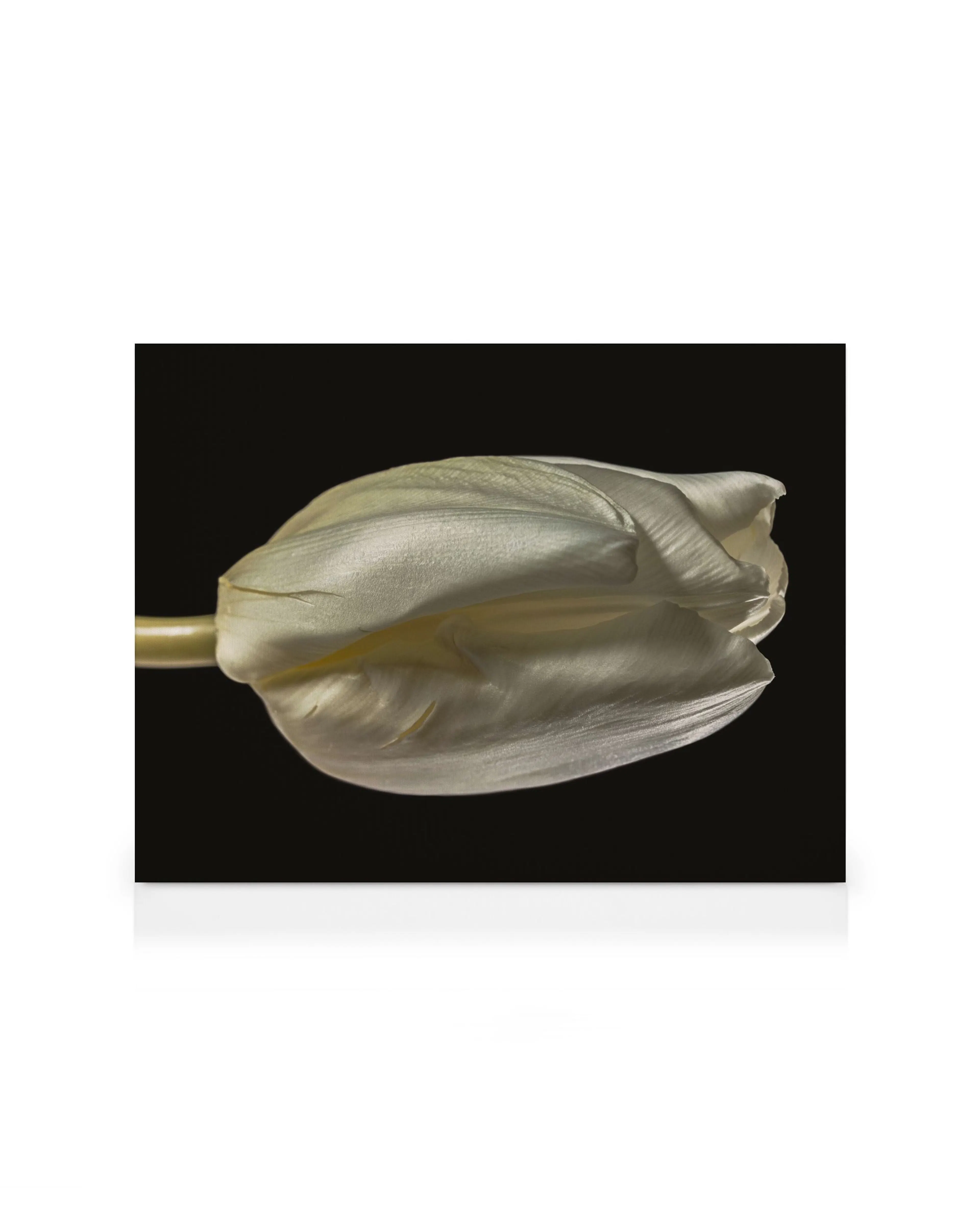 Product image: 1