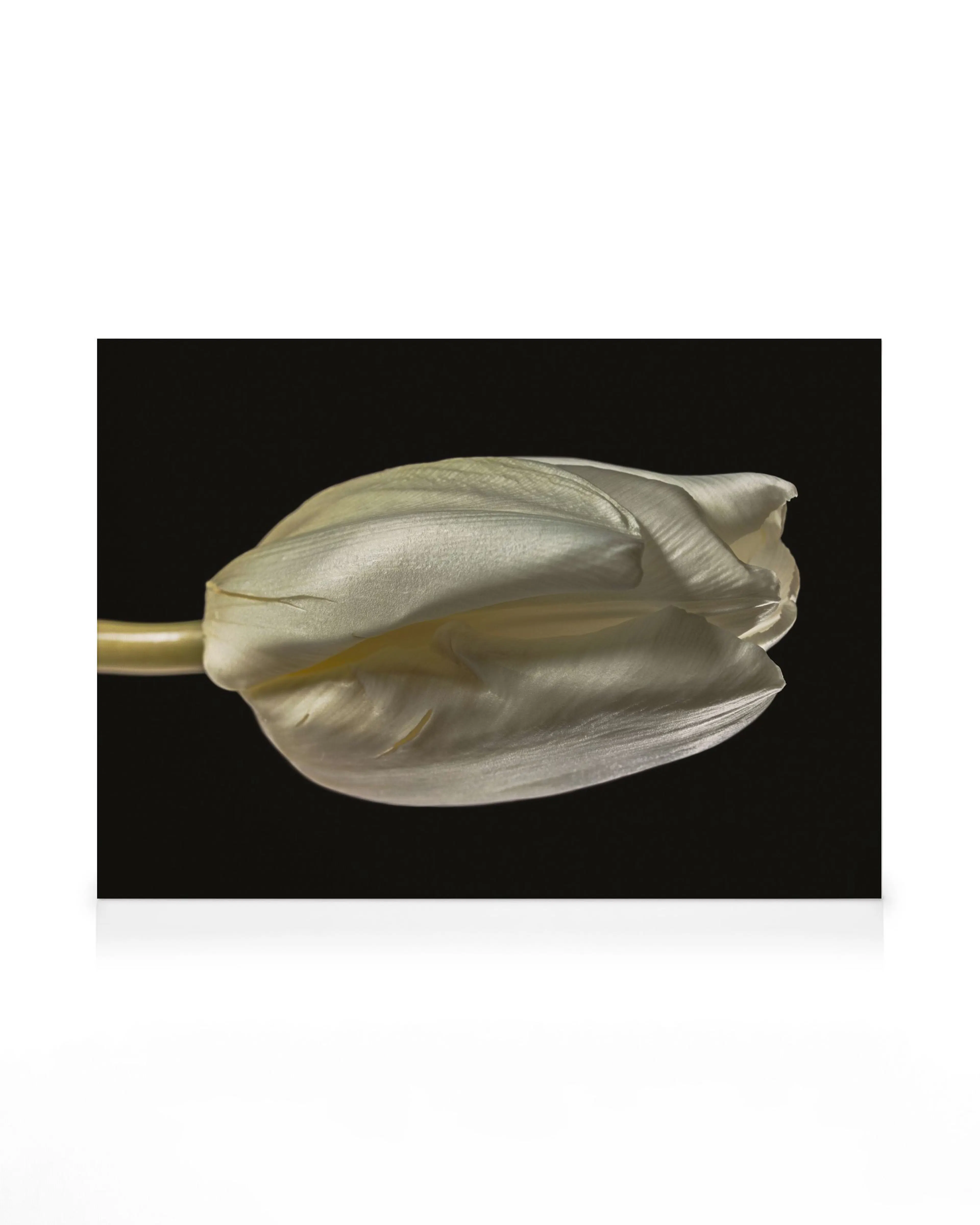 Product image: 1