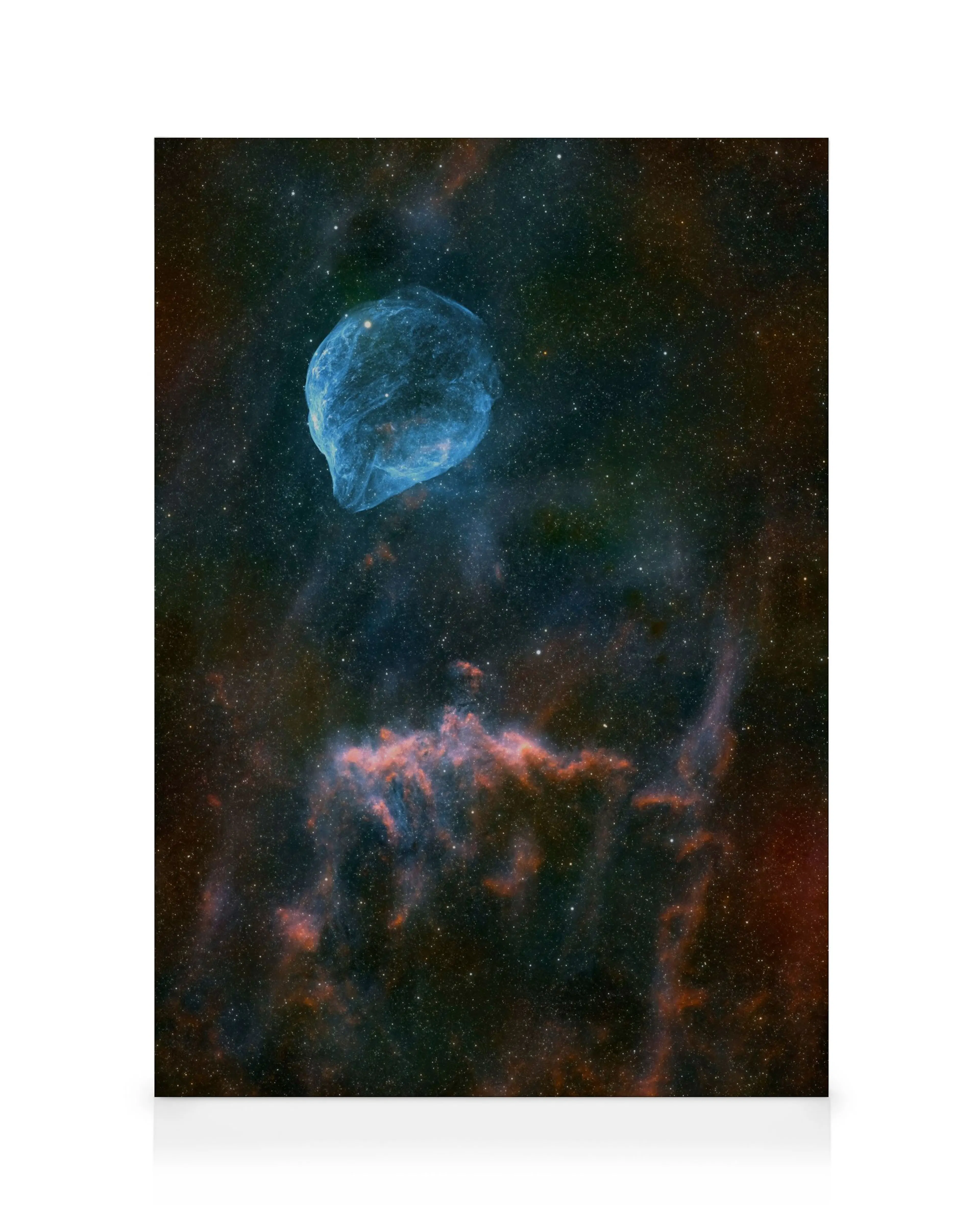 Dolphin Nebula Leinwandbild 0
