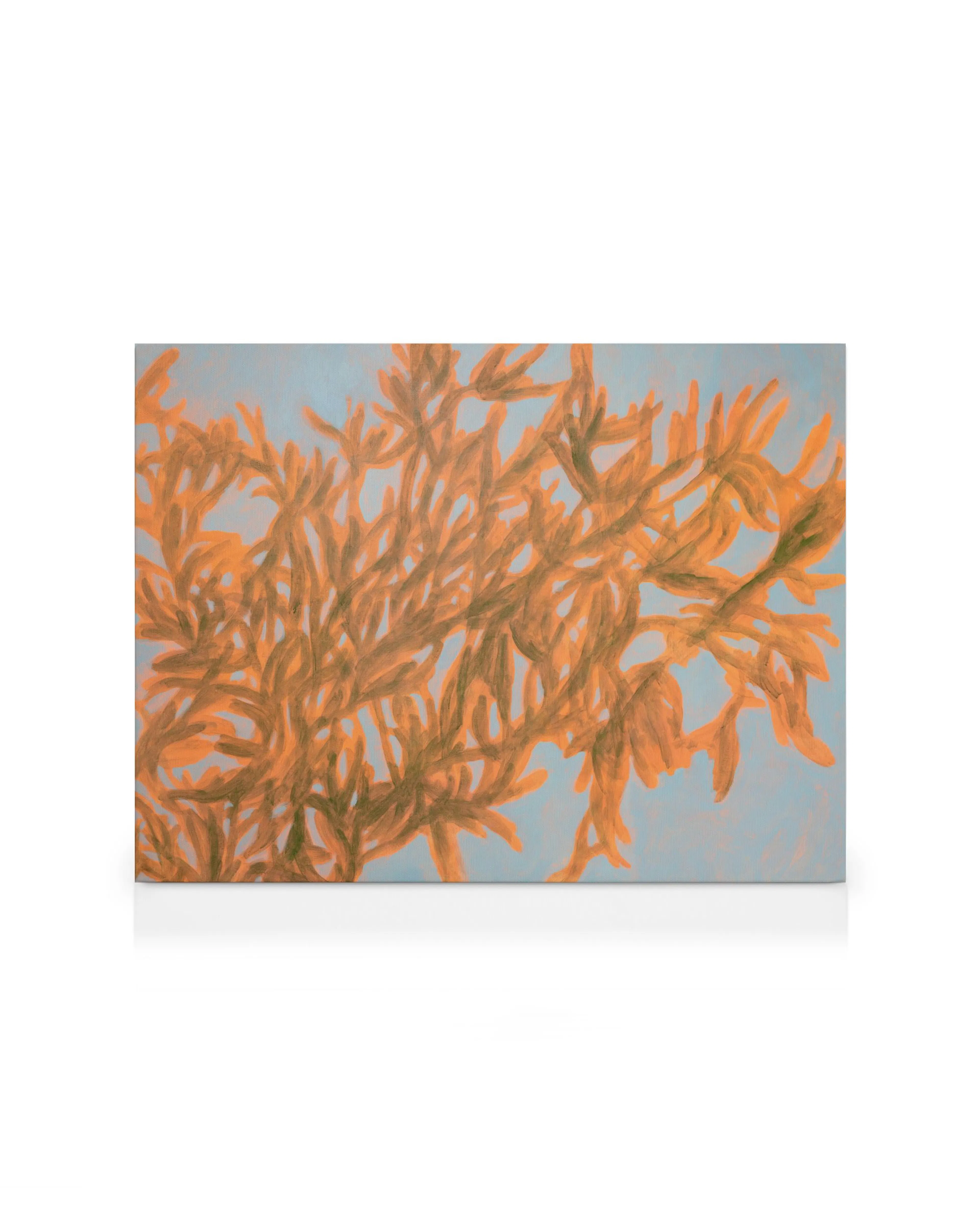 Product image: 1