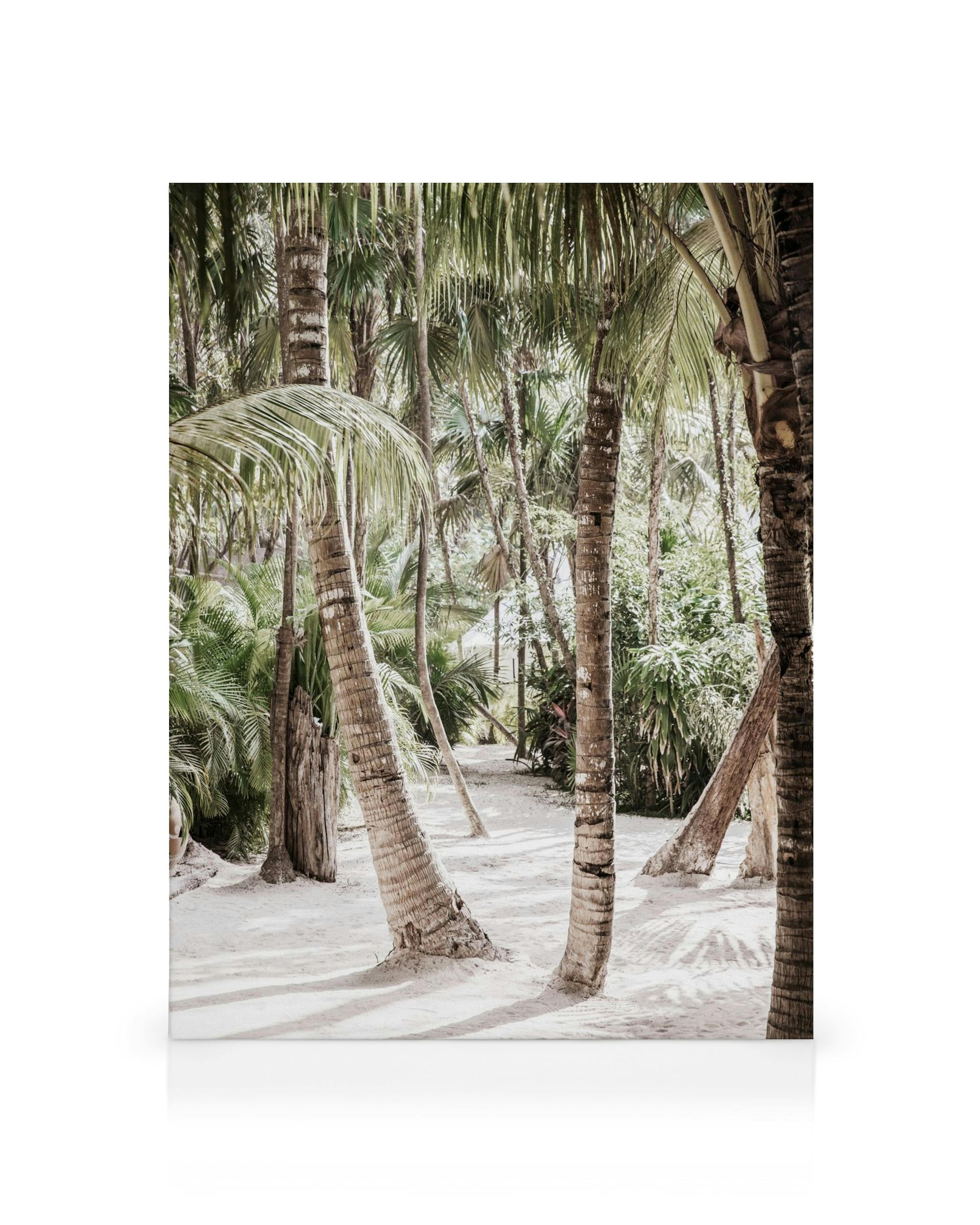 Färgfotografi av palmer i vit sand med gröna palmblad som kastar skuggor. Tropisk canvastavla med strandtema.