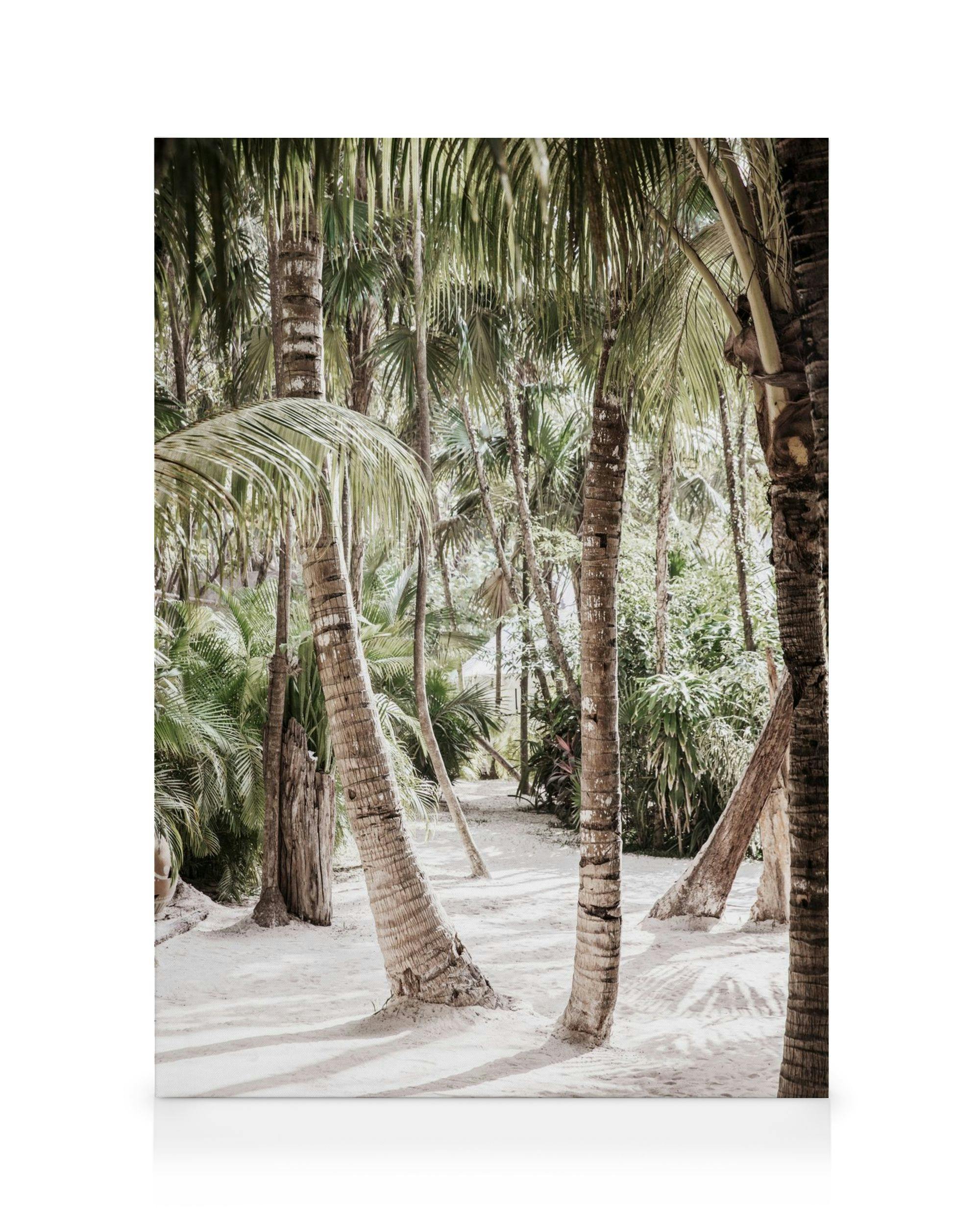 Lerretsbilde med høye palmetrær med grønne blader og brune stammer på hvit sand. Tropisk, lys stemning.
