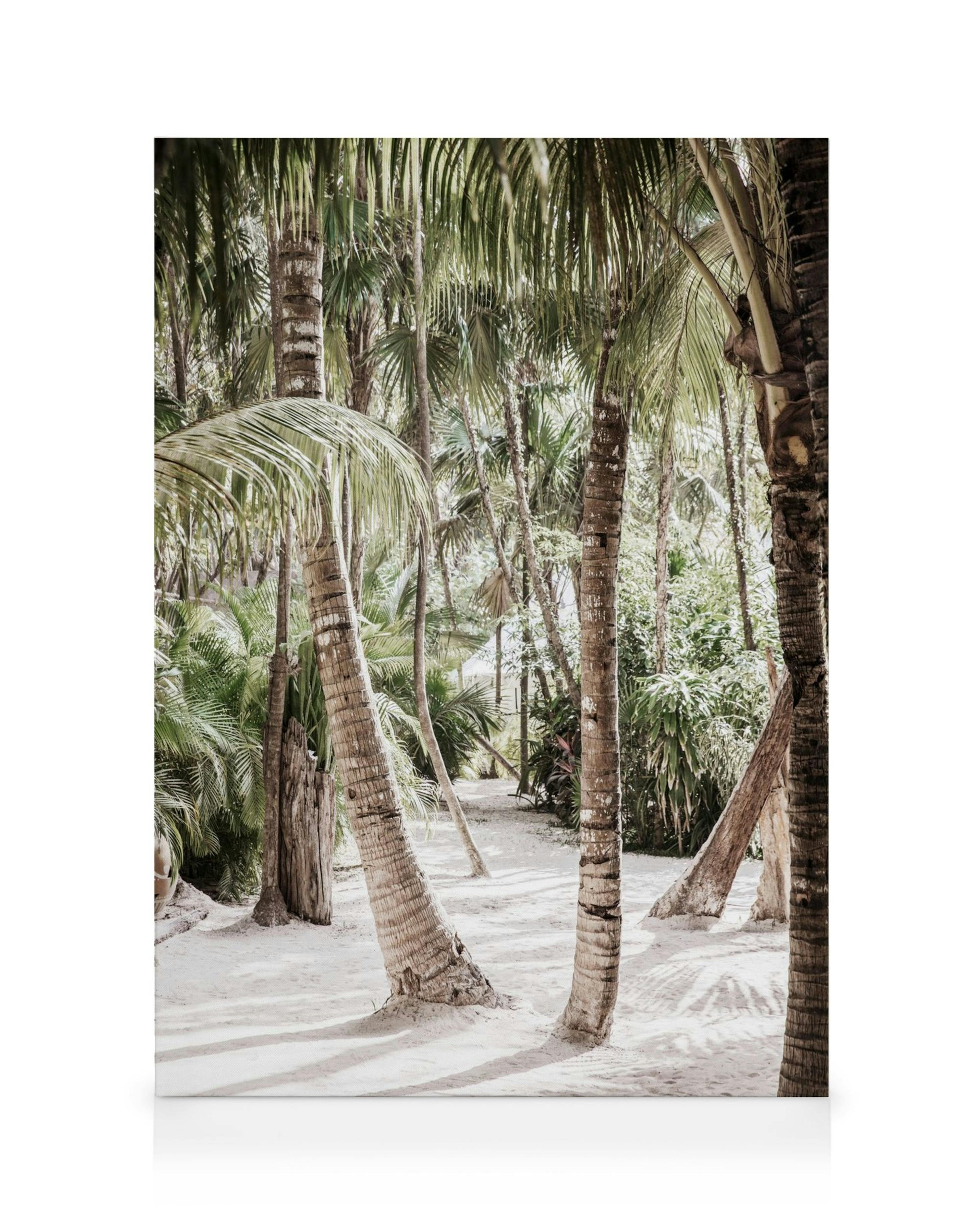 Lerretsbilde med høye palmetrær med grønne blader og brune stammer på hvit sand. Tropisk, lys stemning.