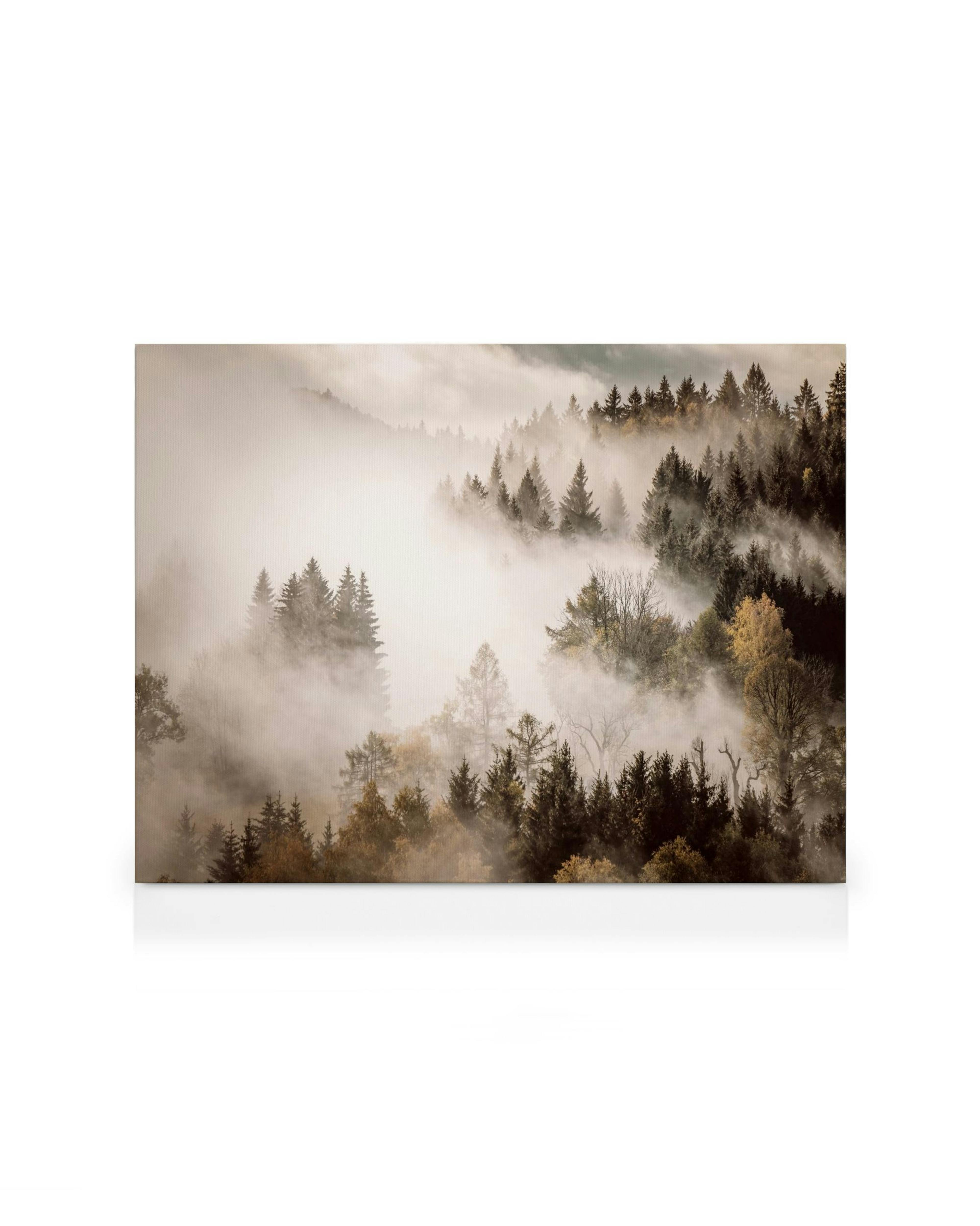 Misty autumn forest canvas print with green and brown trees emerging from thick white fog, landscape wall art.