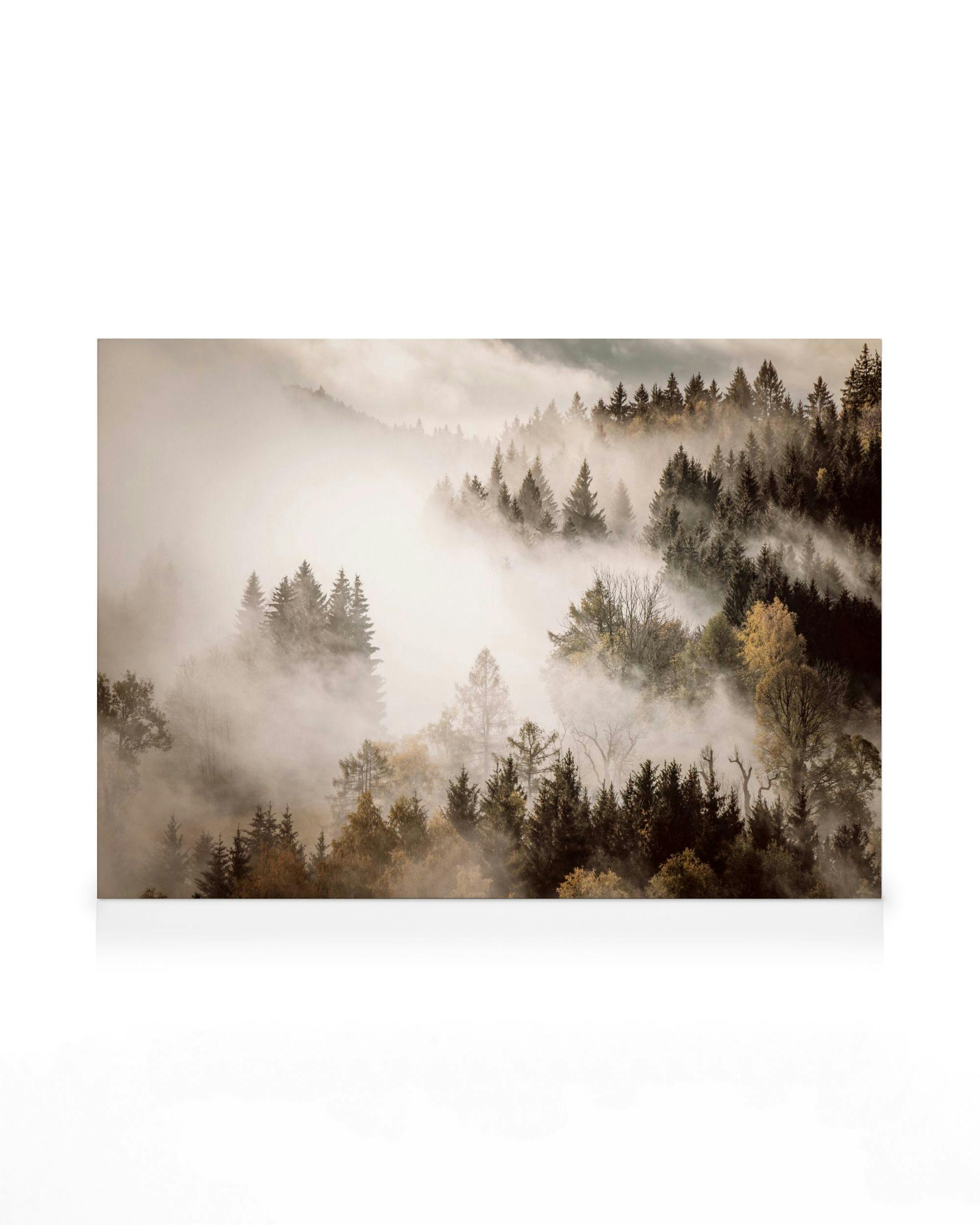 Canvas Prints Misty Autumn Forest Canvas print (50x70 cm - Oak Frame)