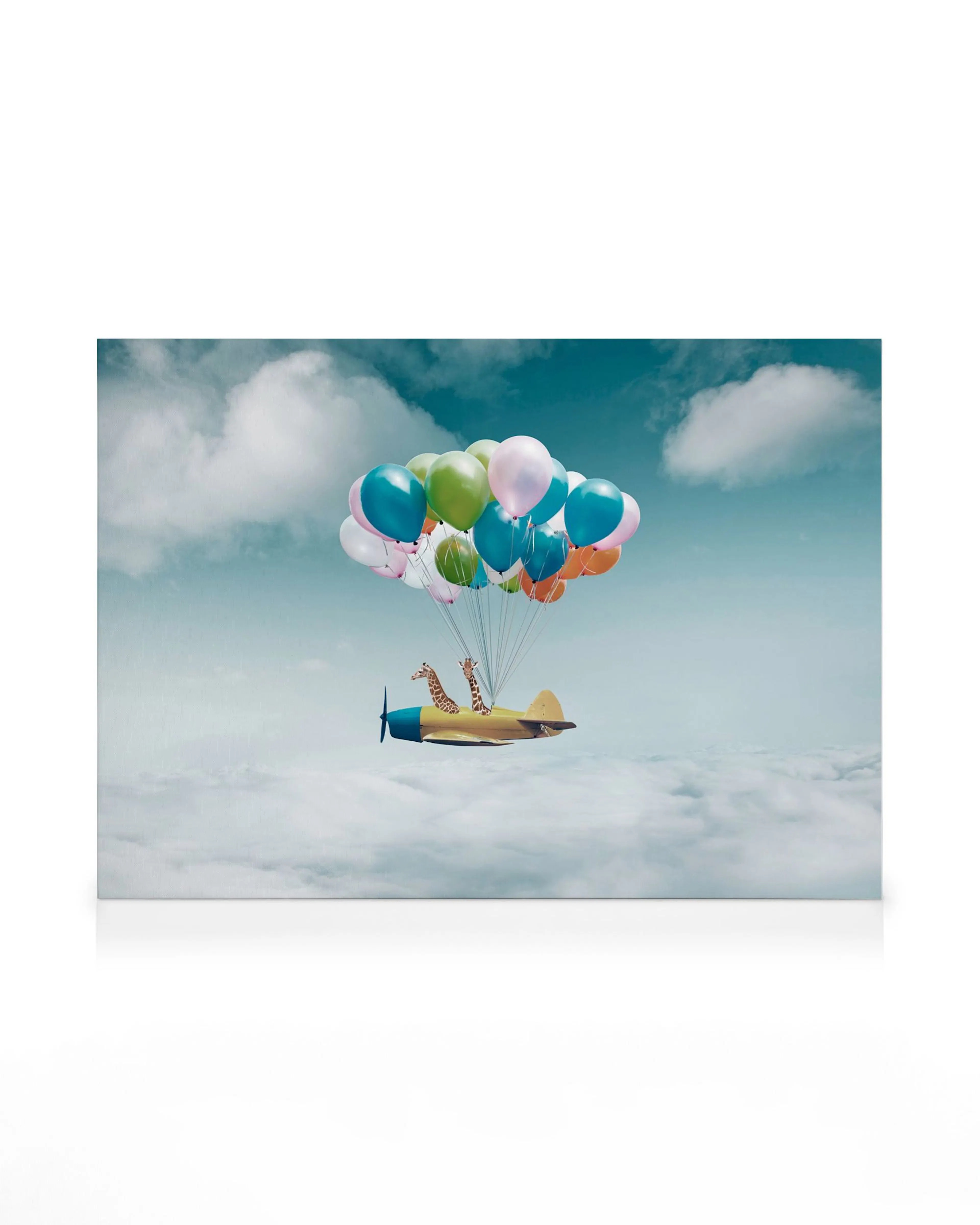 Whimsical airplane with giraffes flying through clouds, held aloft by colourful balloons on a canvas print.