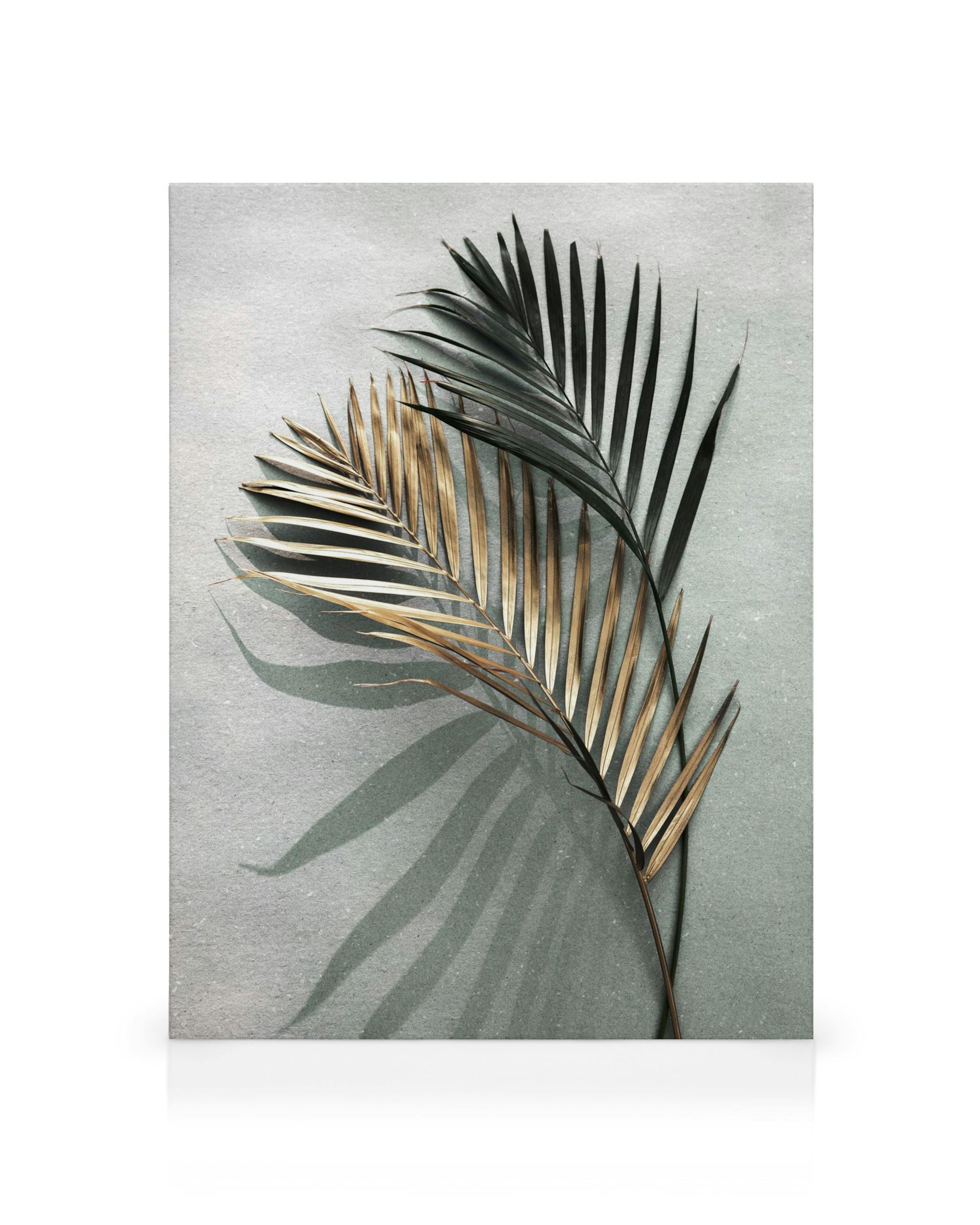 Zlaté a zelené palmové listy s kontrastními stíny na šedém pozadí.