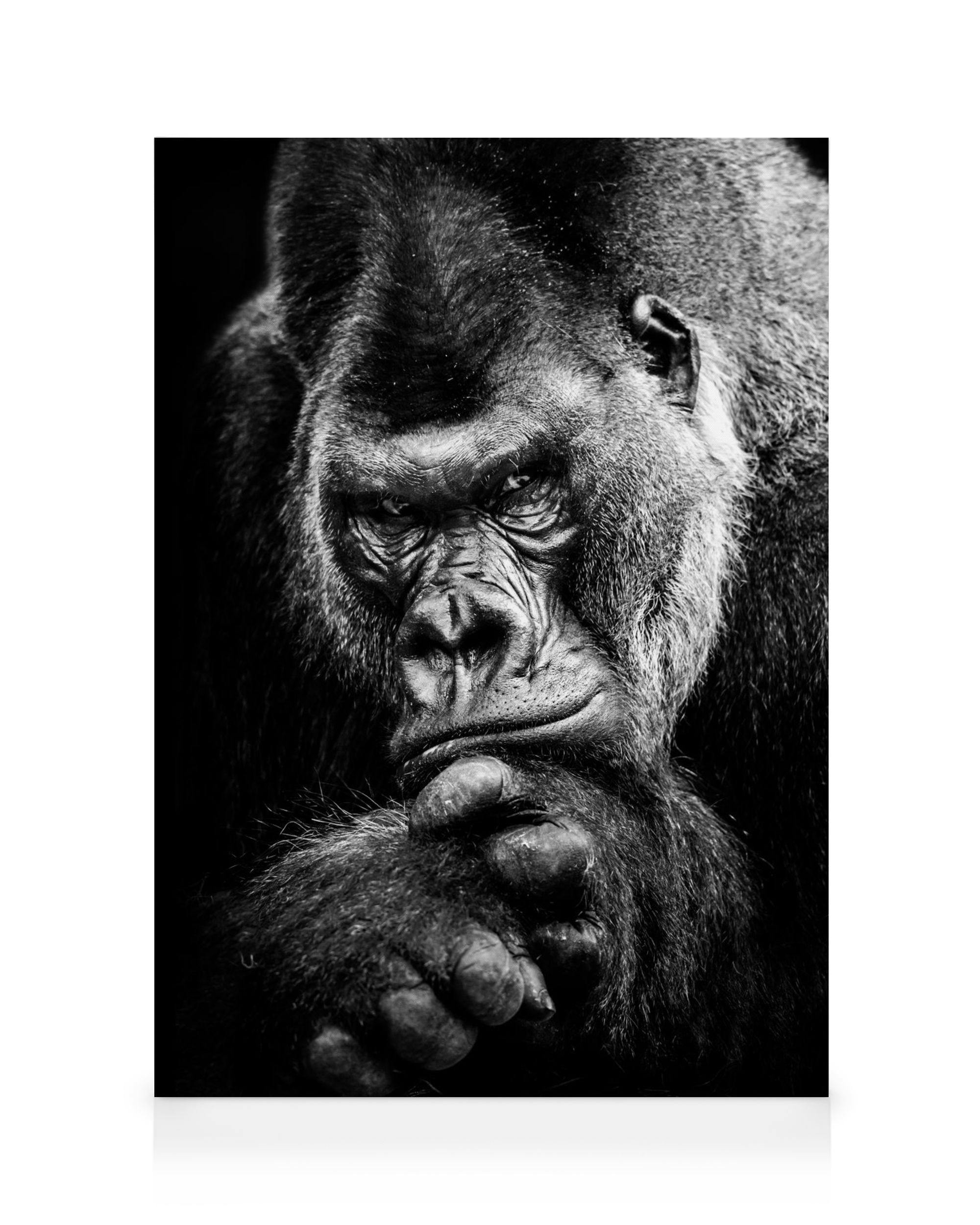 Toile noir et blanc dun gorille au regard intense, sa main sous le menton, évoquant la réflexion.