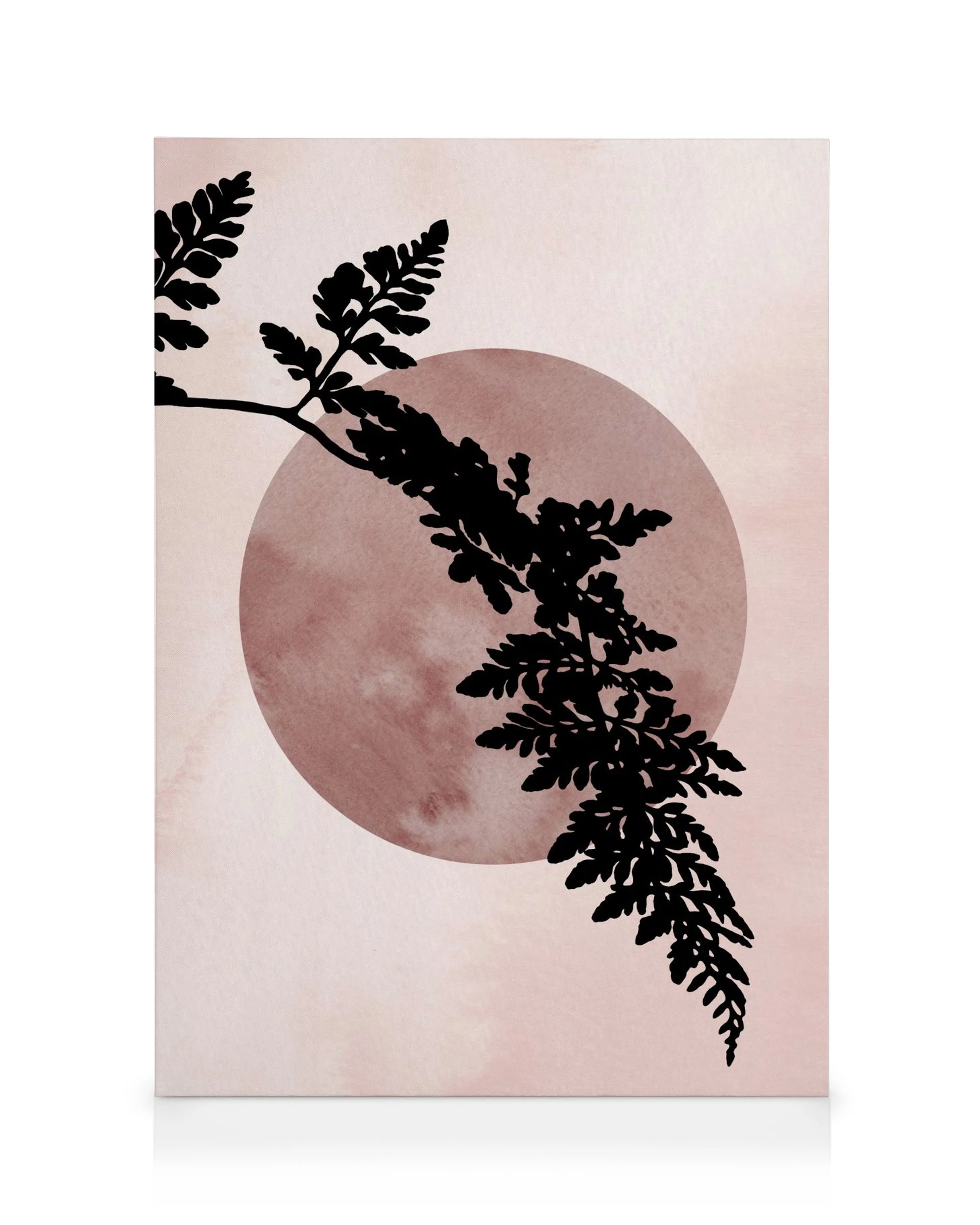 Lienzo de silueta de helecho negro, con un círculo rosado desvanecido sobre un fondo rosa claro, ideal para arte abstracto de pa