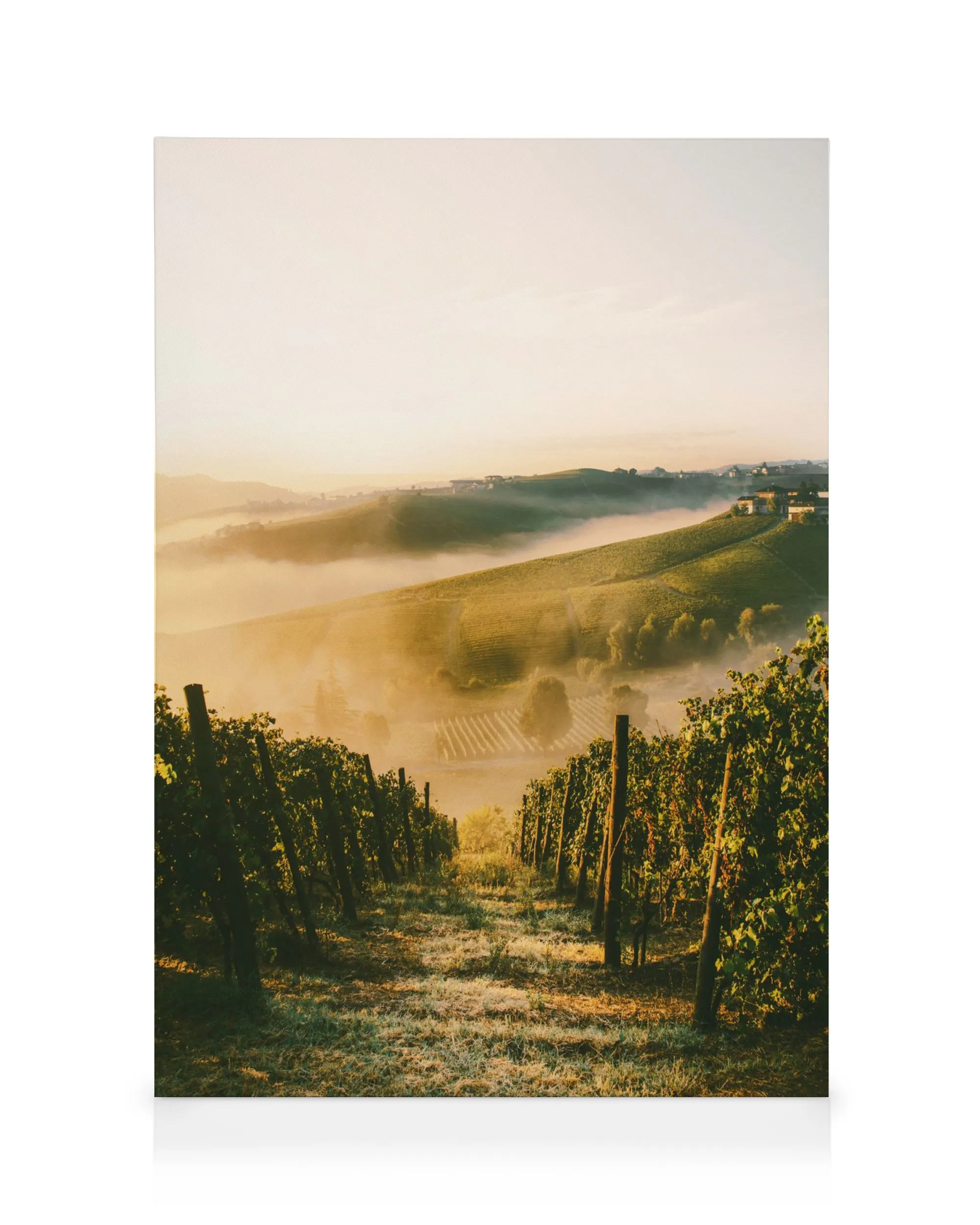Langhe Vineyard canvas art capturing a misty sunrise over rolling hills of grapevines and distant Italian countryside.
