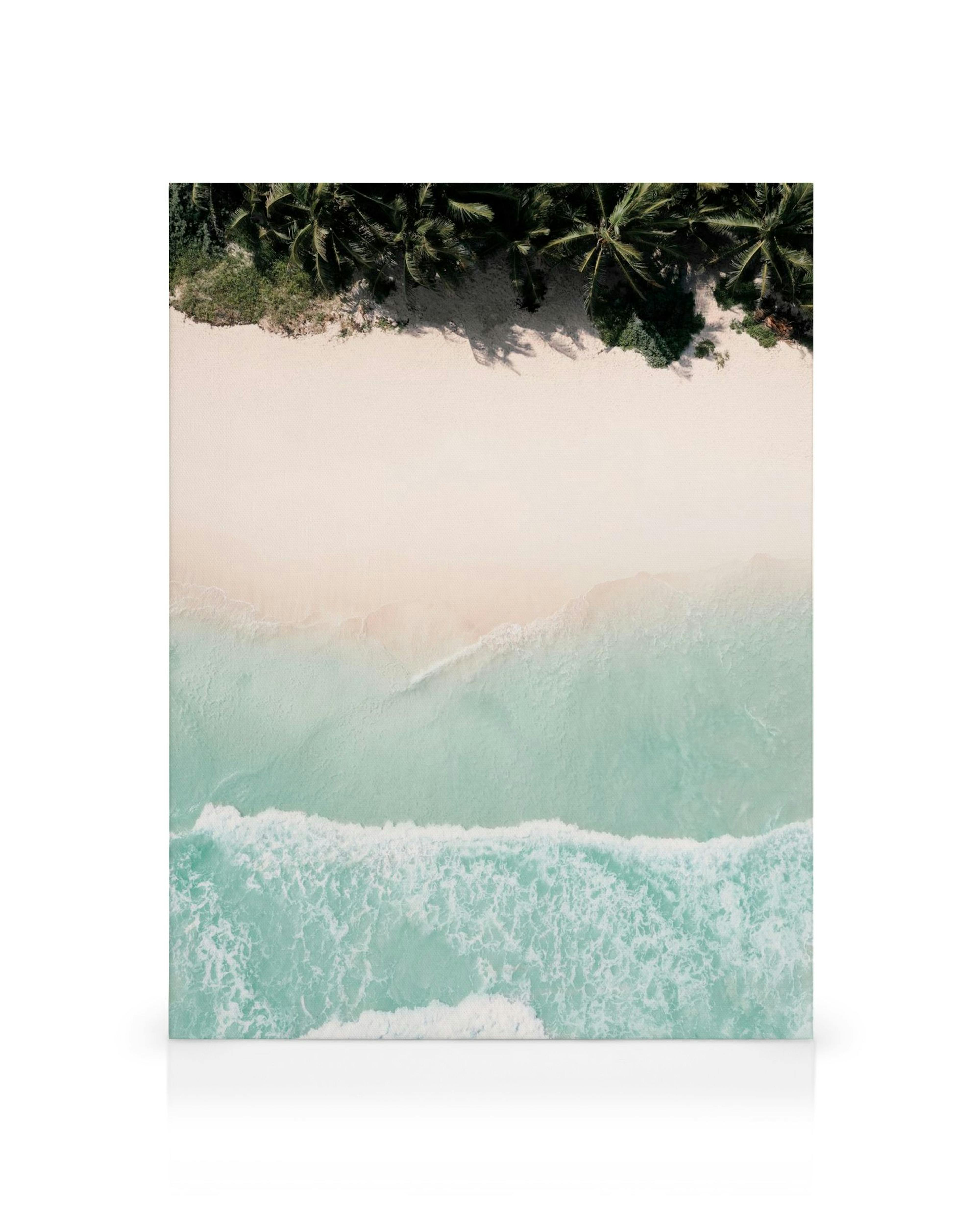 Aerial view of a beautiful Caribbean beach with green palm trees, tan sand, and light green ocean waves.