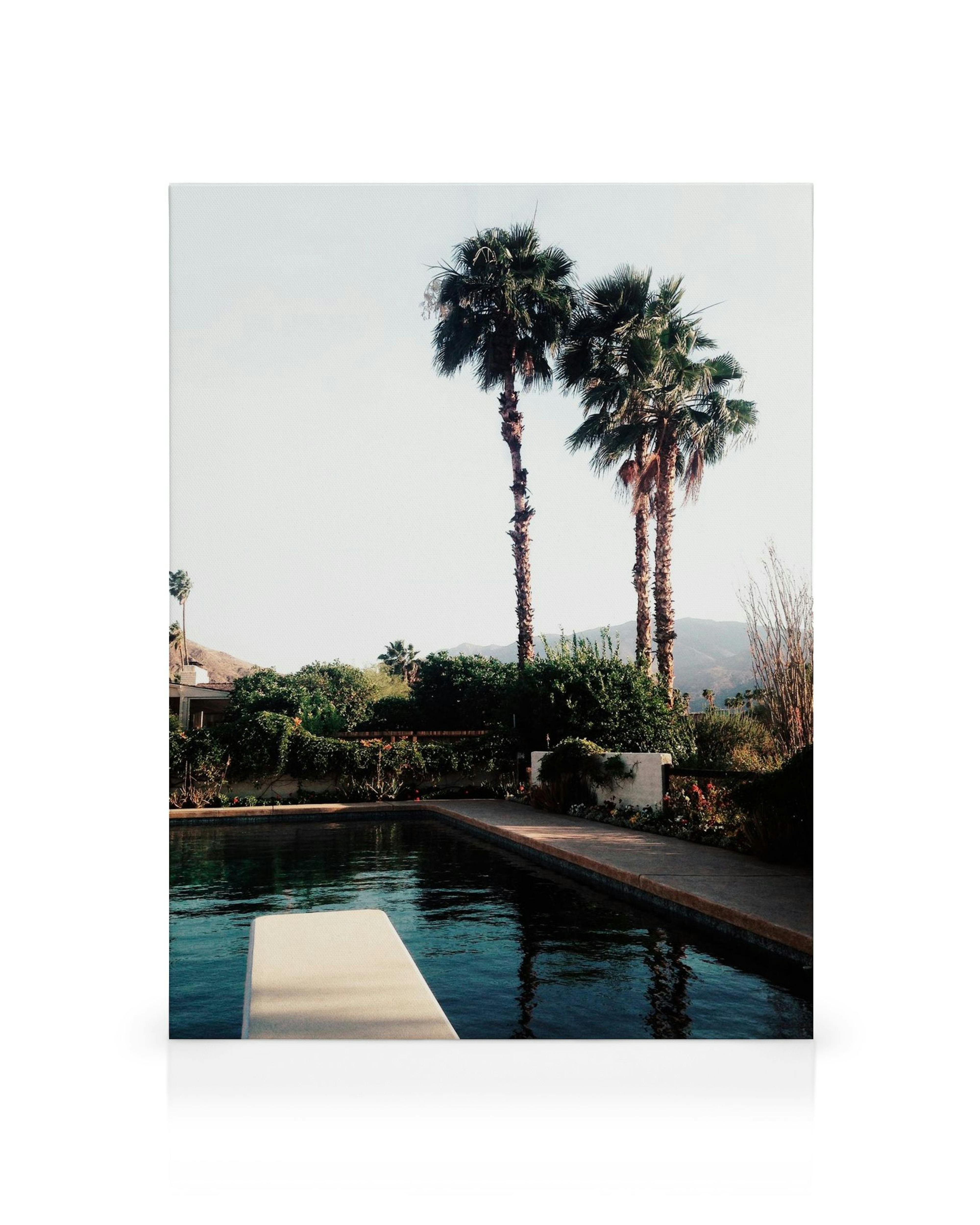Palm Springs pool with two palm trees and a diving board, a canvas print.