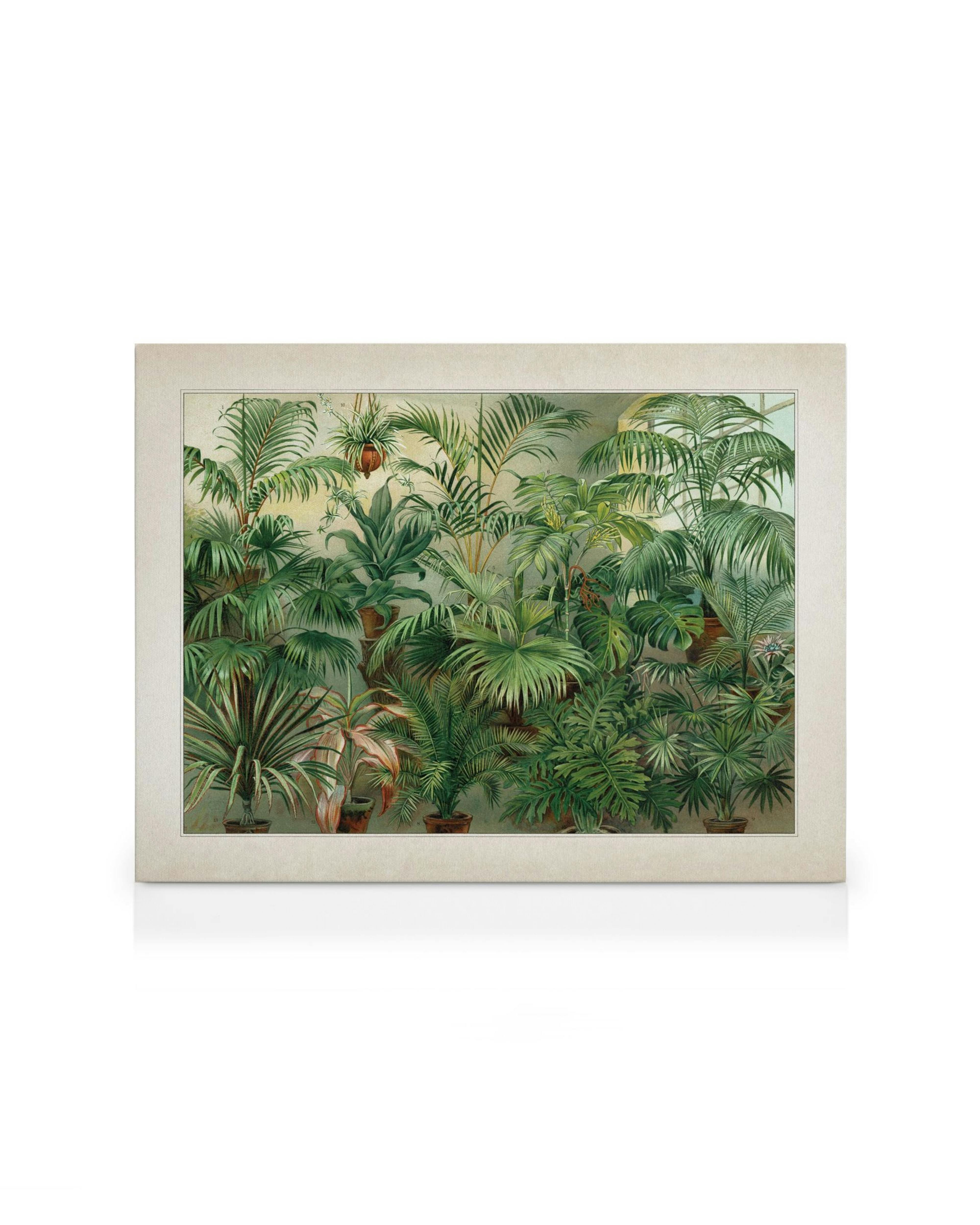 Vintage canvas print depicting a dense jungle with various green plants in pots, framed with a pale beige border.