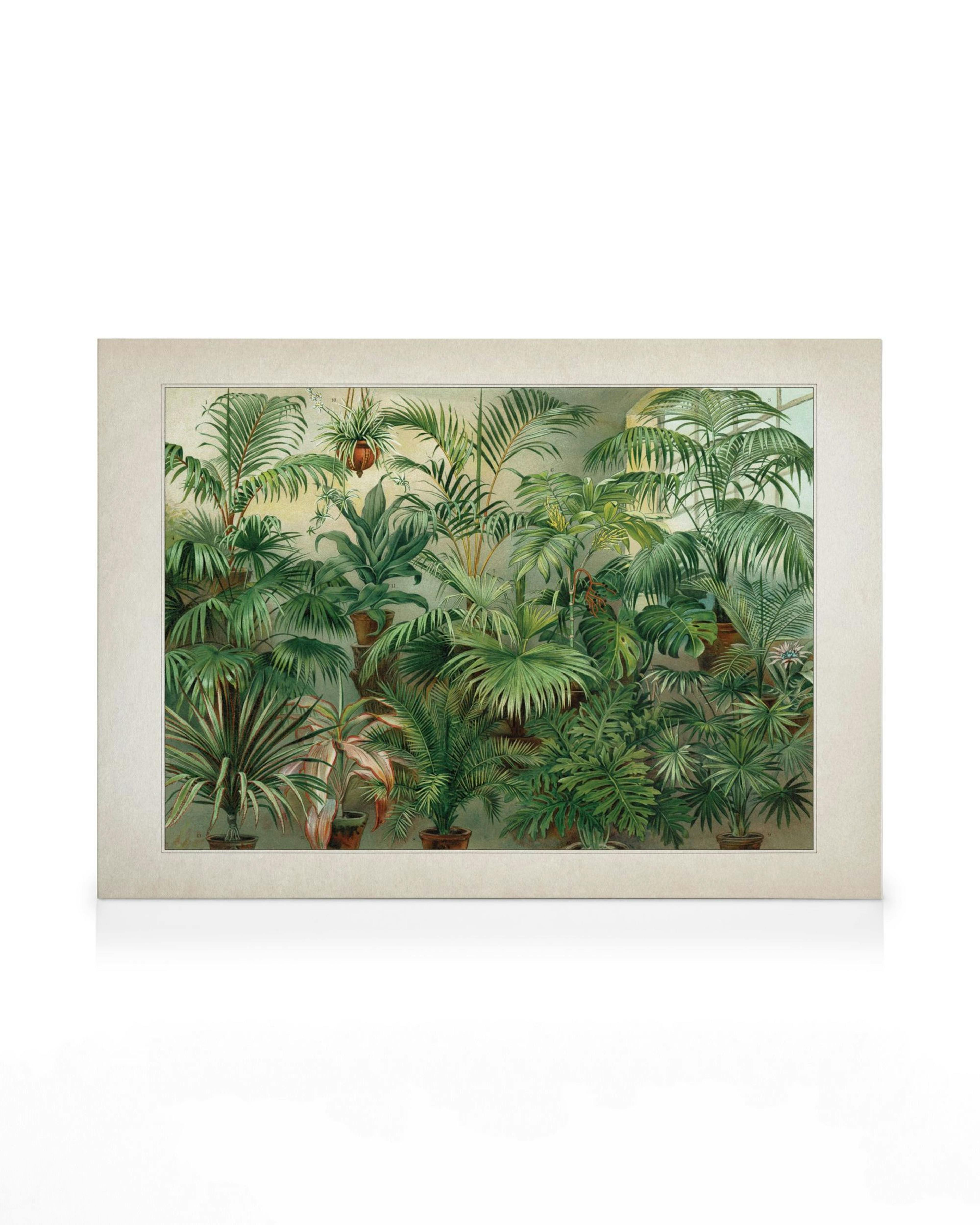 Leinwandbild mit vintage botanischem Motiv, das verschiedene grüne Palmen und Topfpflanzen in einem Gewächshaus zeigt.