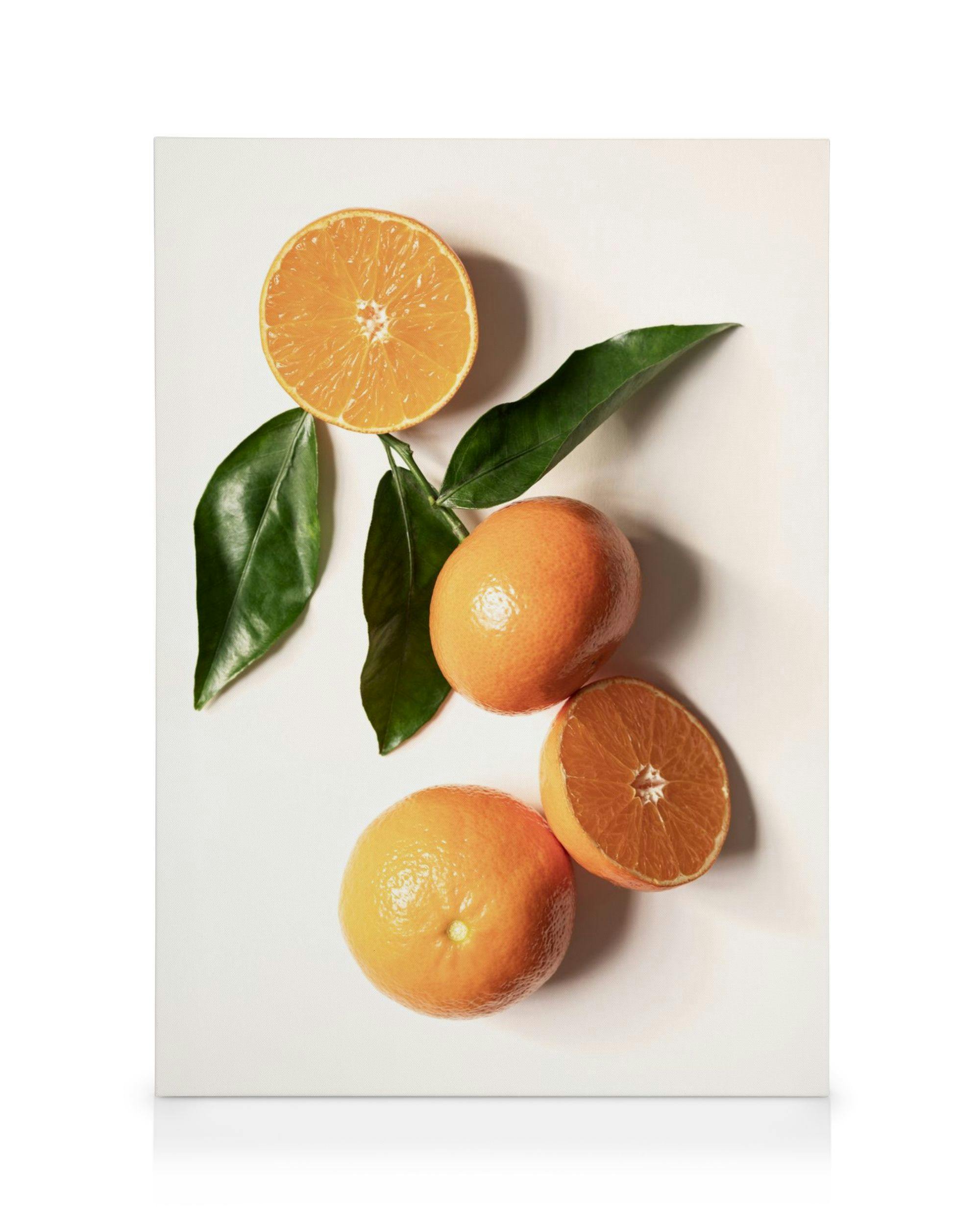 Canvas Schilderijen Garden Oranges Canvas (30x40 cm)