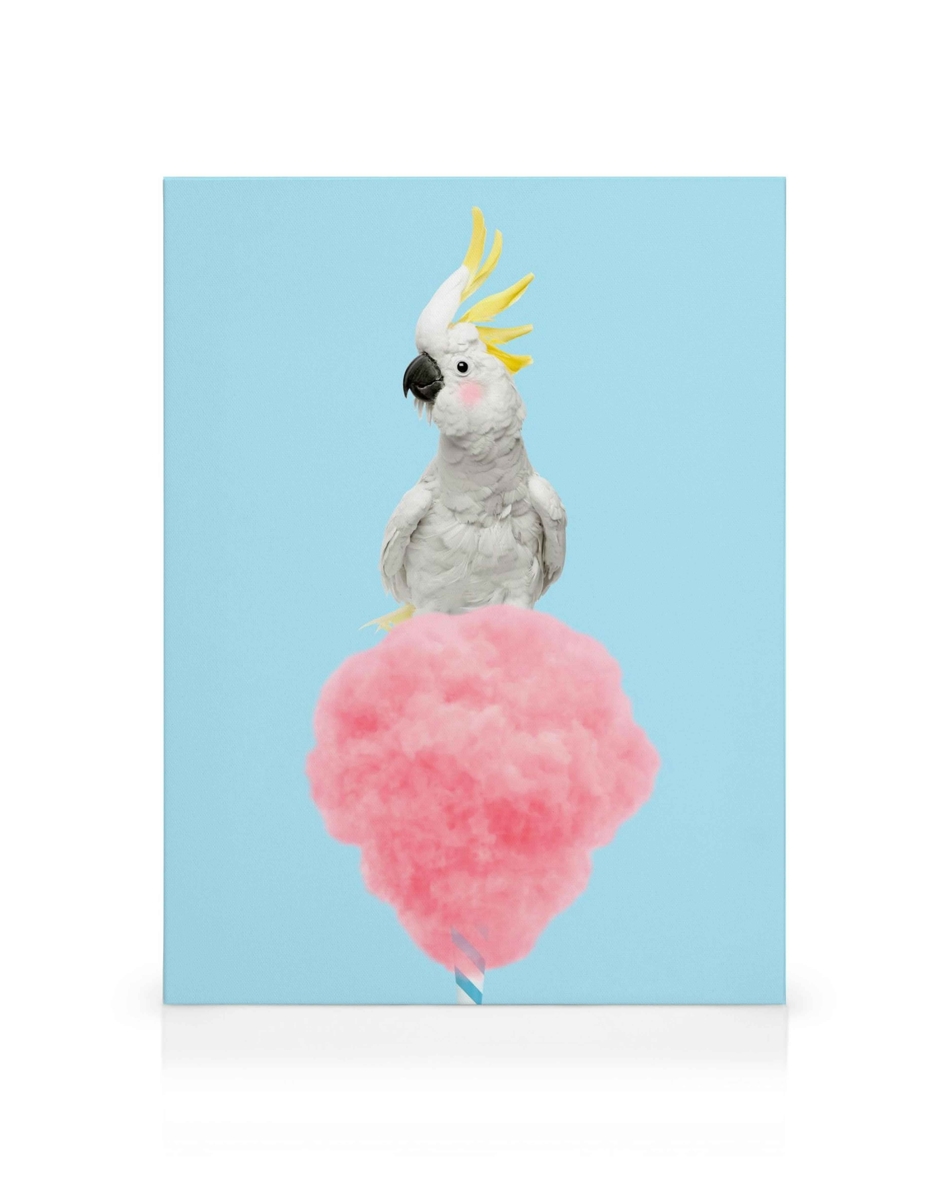 Witte kaketoe op roze suikerspin canvas, tegen een lichtblauwe achtergrond, voor kinderkamer decoratie.