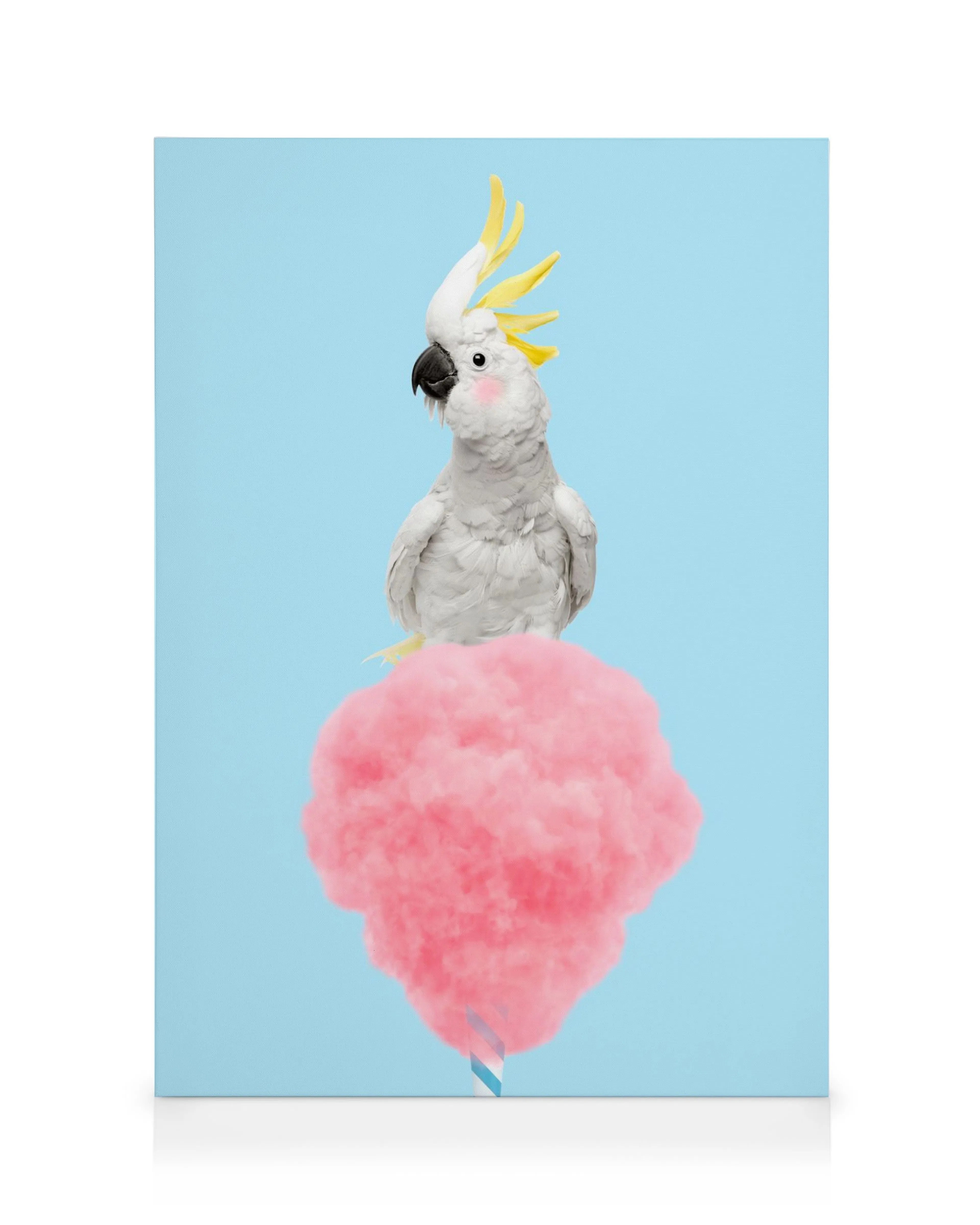 White cockatoo with pink cheeks sitting on a large pink cotton candy cloud with a striped stick, all against a blue background, 